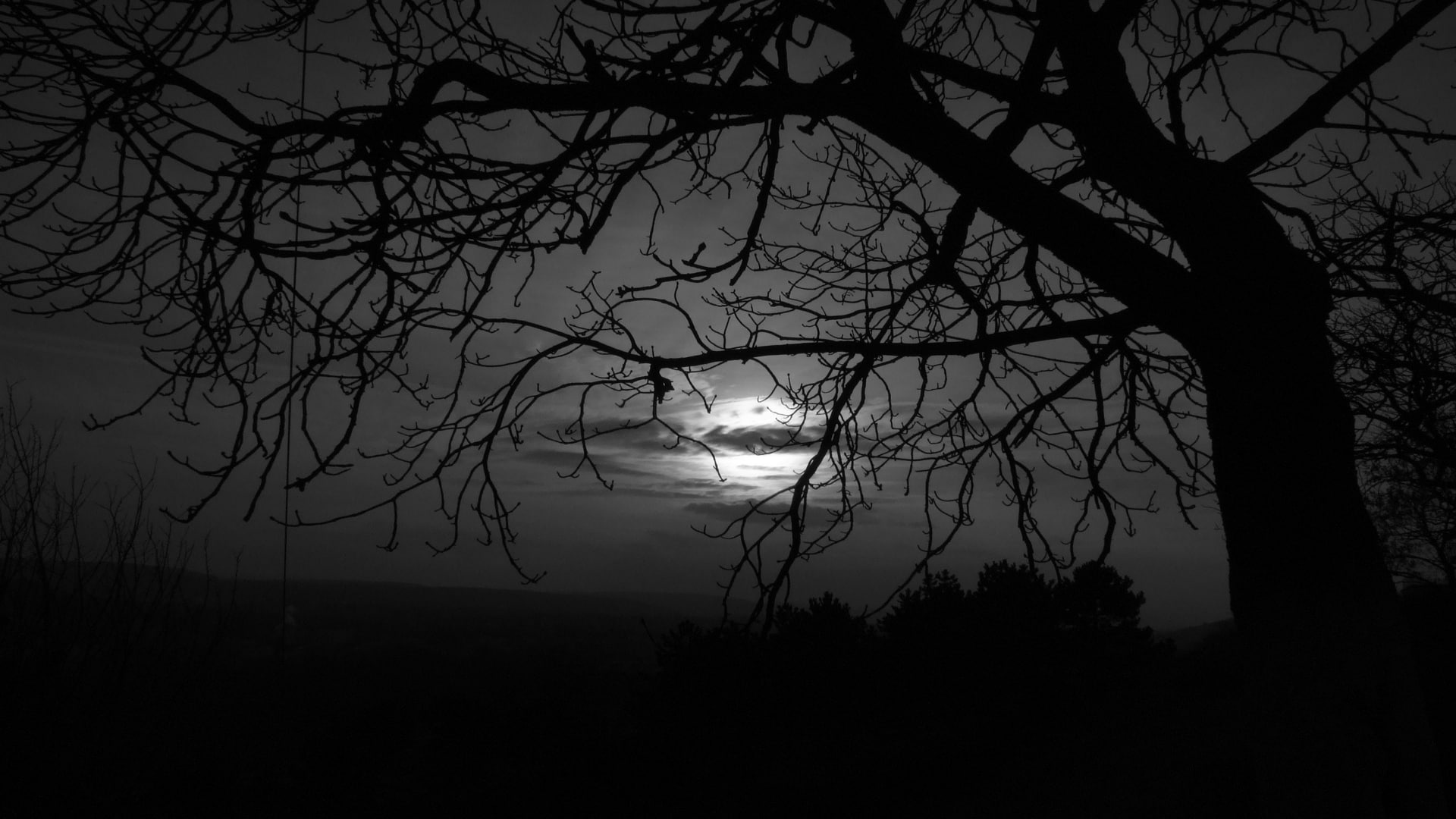 Shadow Moon Clouds Dark BW HD, silhouette photo of tree, nature