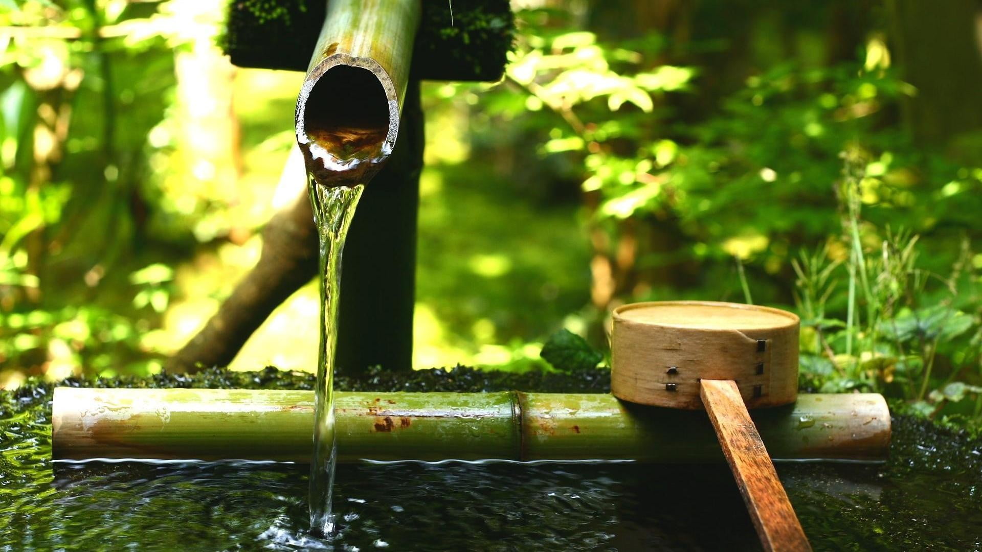 brown bamboo water fountain, plants, nature, wood - material