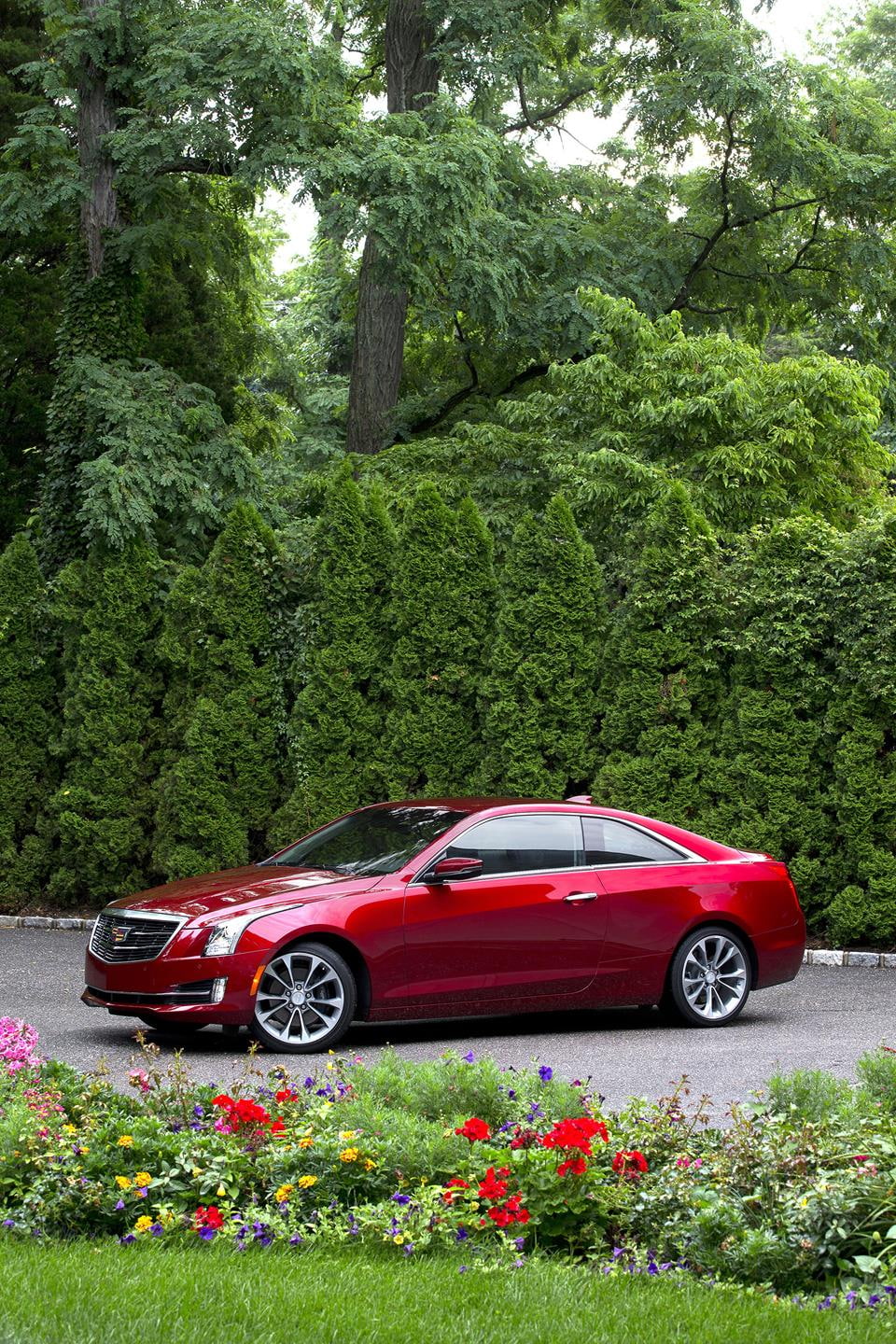 Cadillac ATS-V, 2016 cadillac_ats_, car, plant, tree, red, mode of transportation
