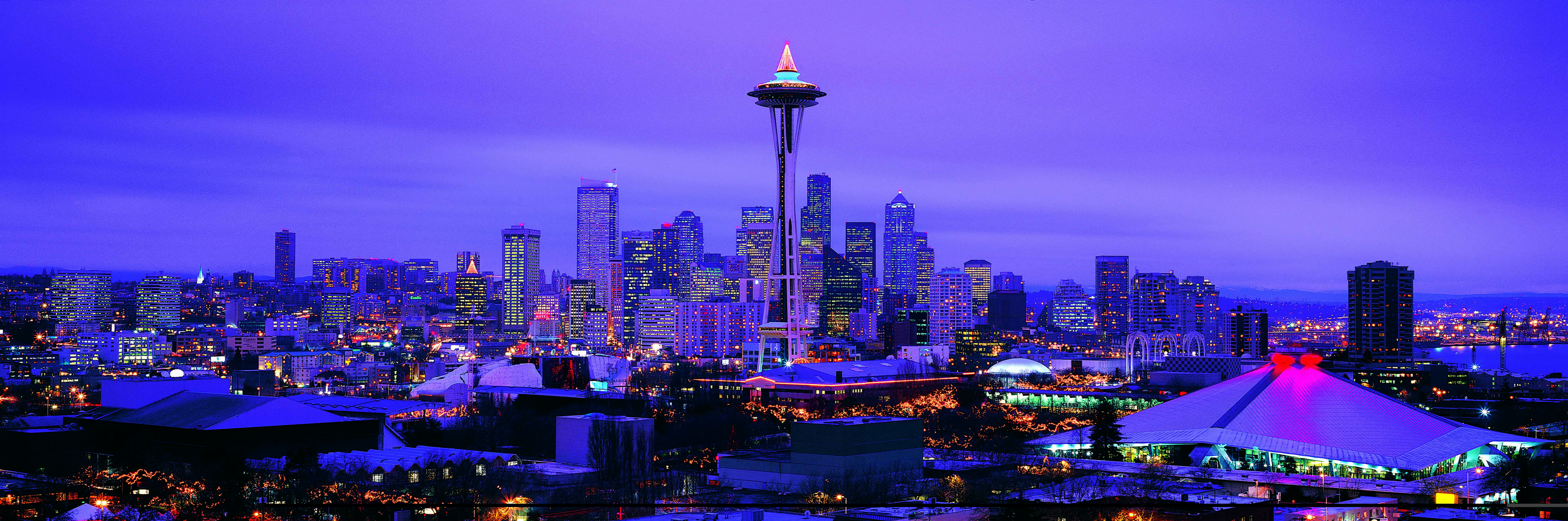 cityscape of space needle tower, american, american, Panoramas