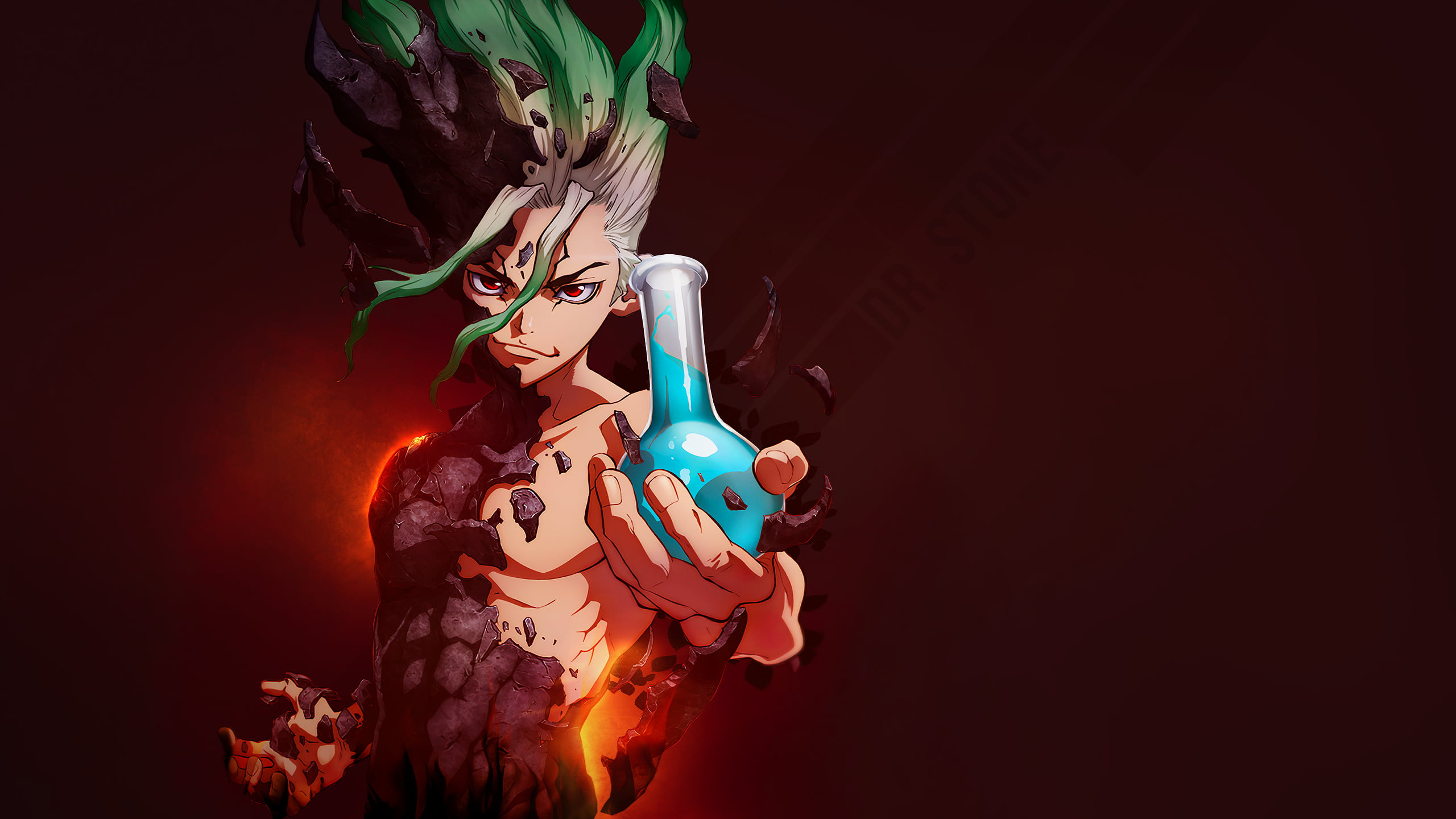 Dr. Stone, anime, flask
