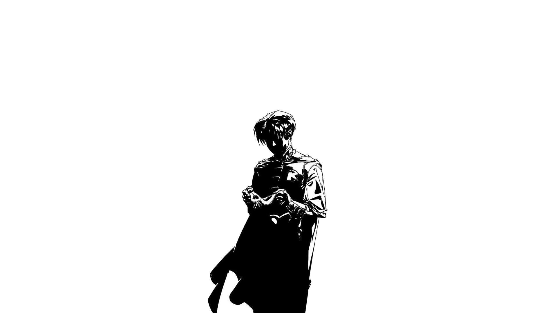 Comics, Robin, Robin (DC Comics)