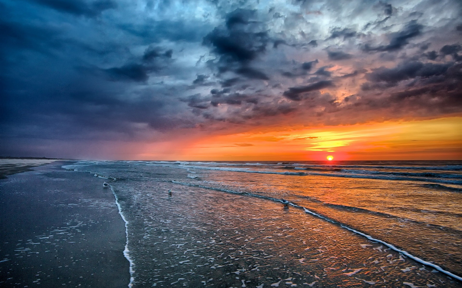 Sunset, sea, beach, coast, waves, birds, nimbus clouds