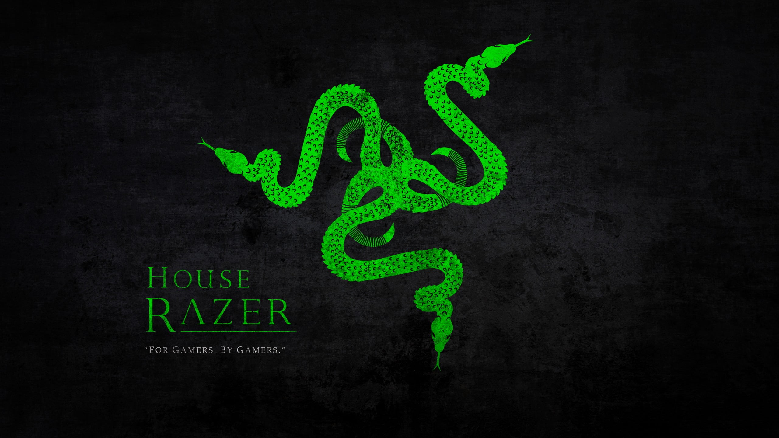 Free download | HD wallpaper: Razer logo, 2K, Razer Inc., green, snake