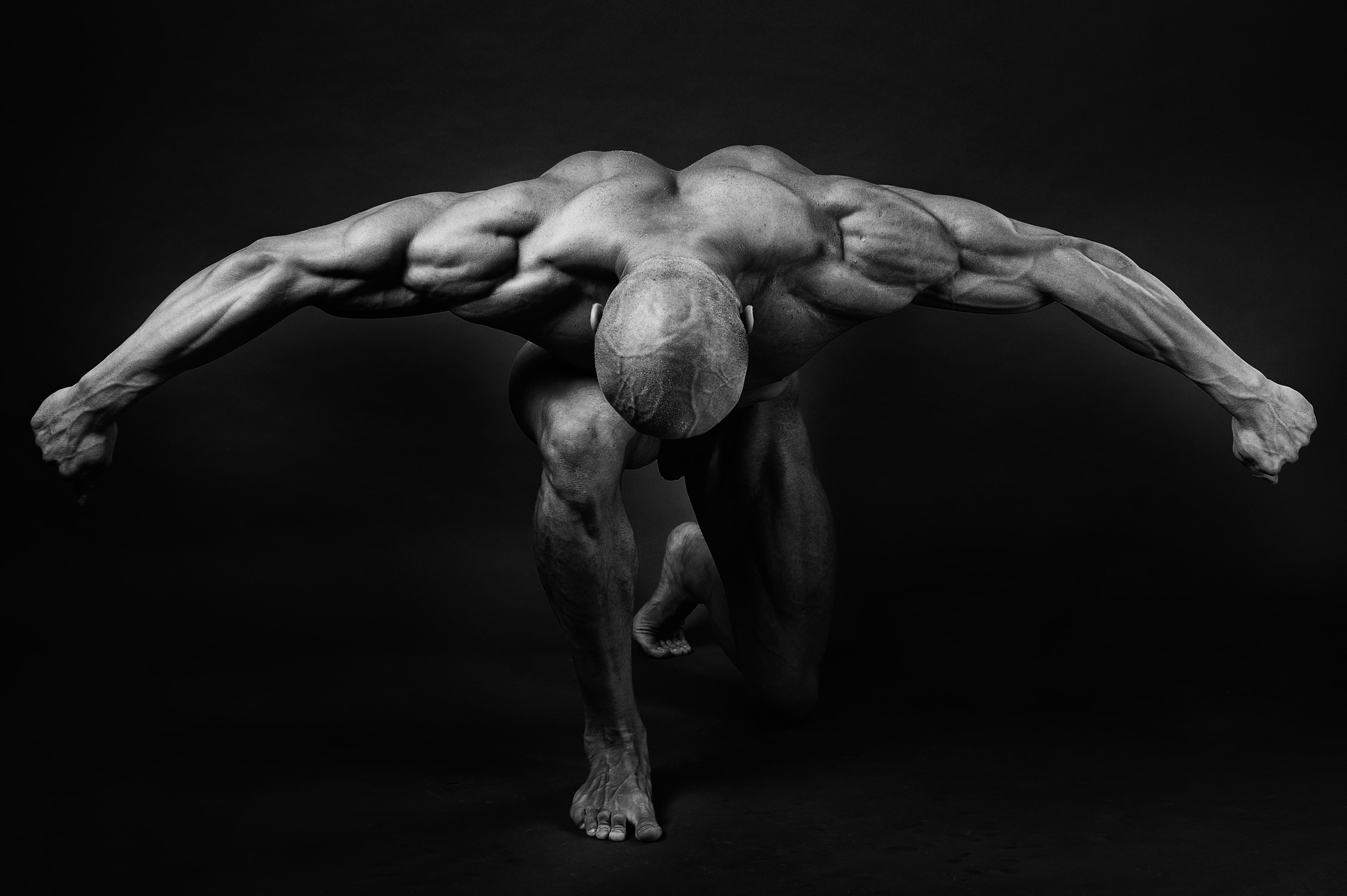muscles, pose, back, arms, bodybuilder