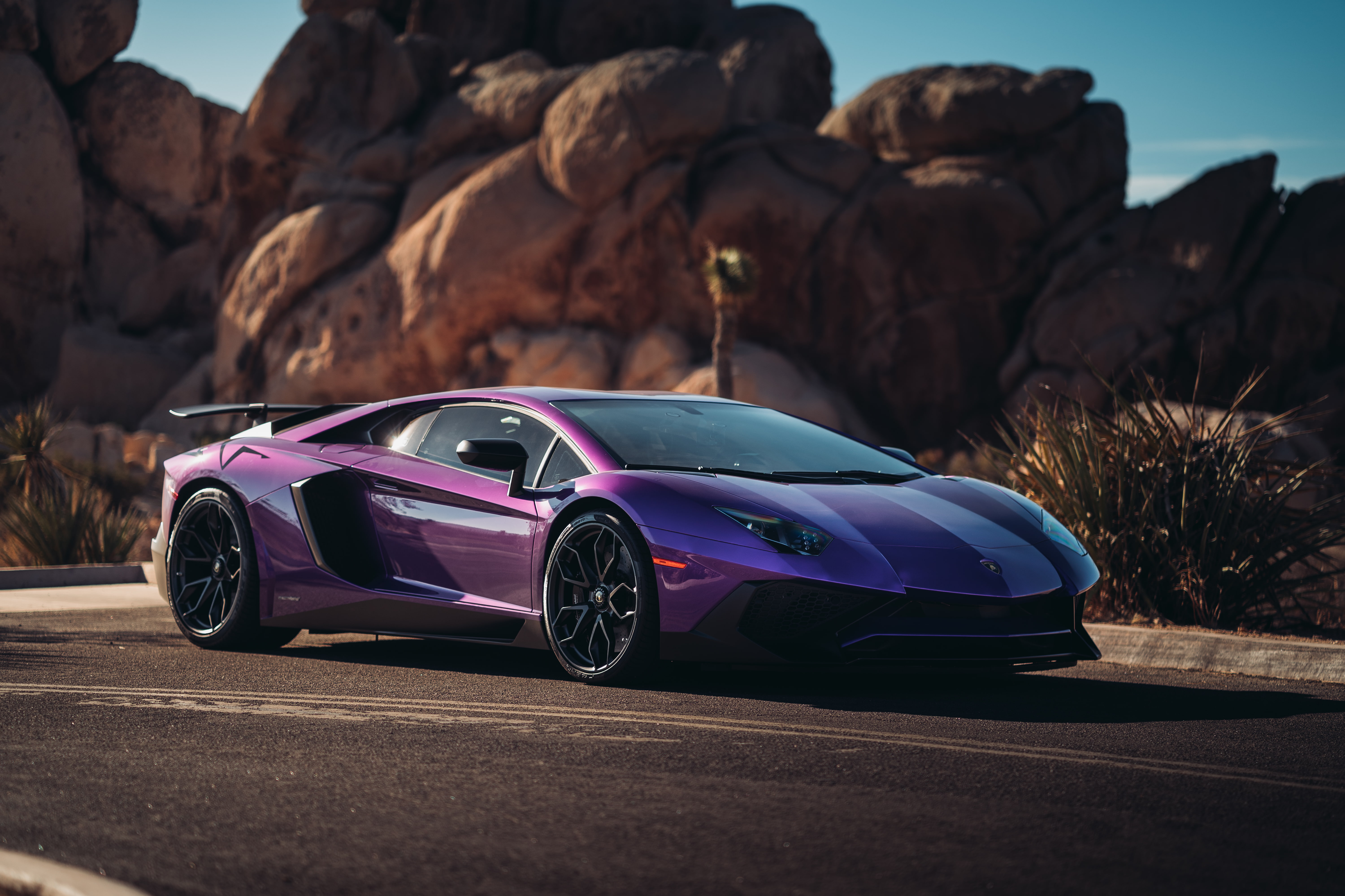 Lamborghini Aventador SuperVeloce Coupe, Purple, 5K