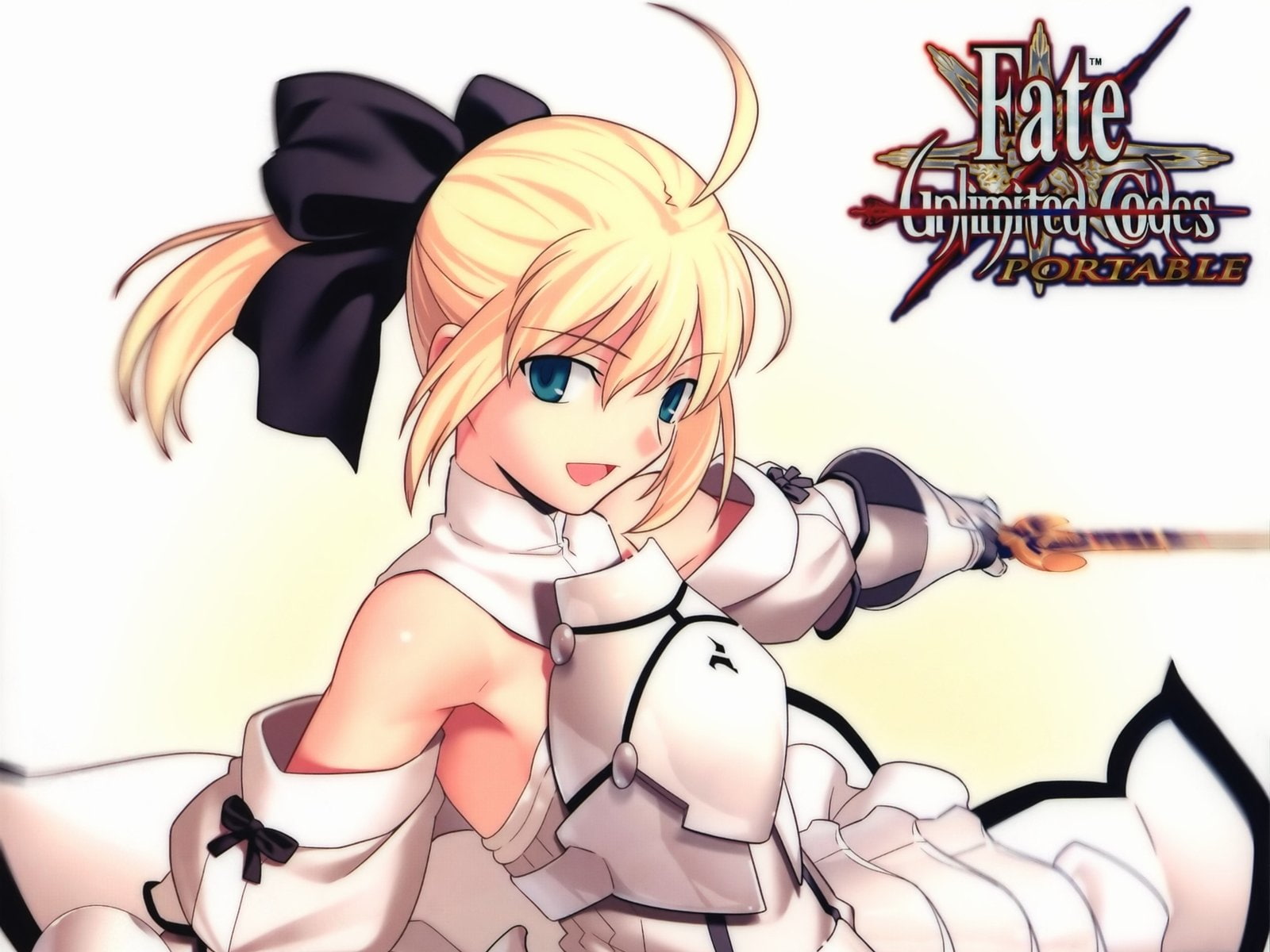 Fate Series, Fate/unlimited codes, Saber Lily