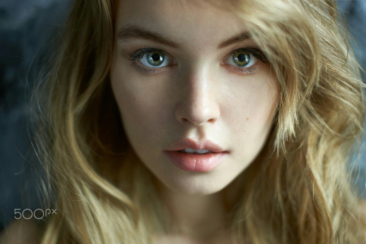 Free download | HD wallpaper: Anastasia Scheglova, face, portrait ...