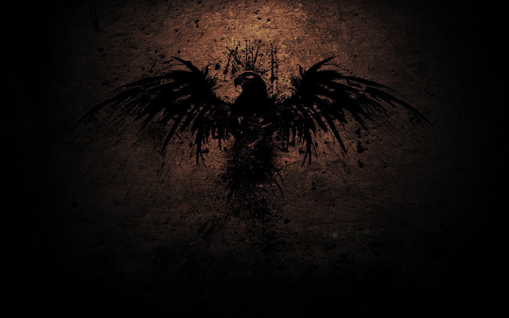 hawk