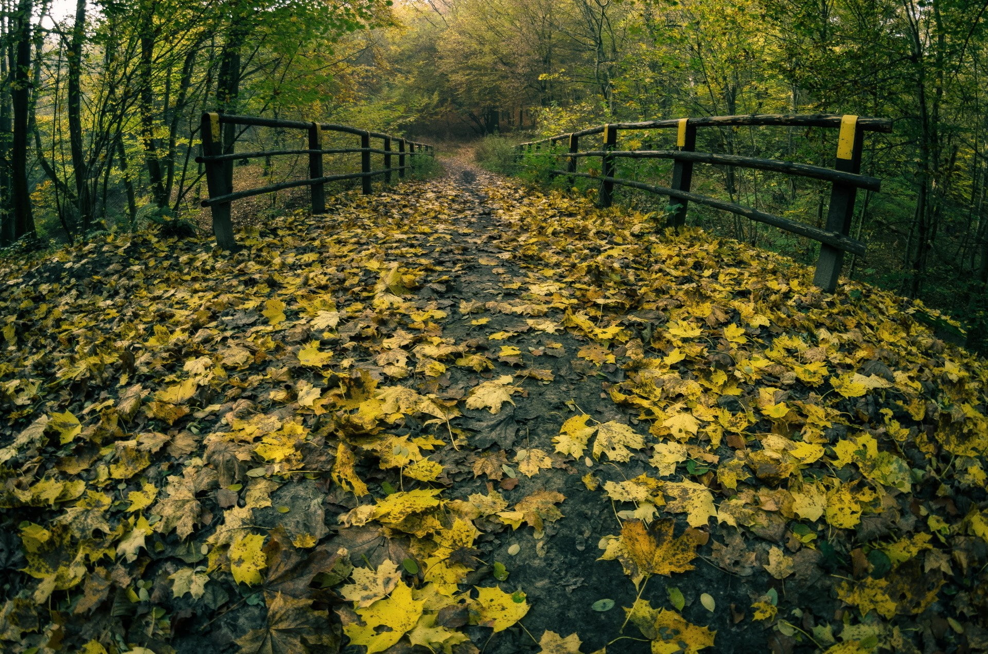 path