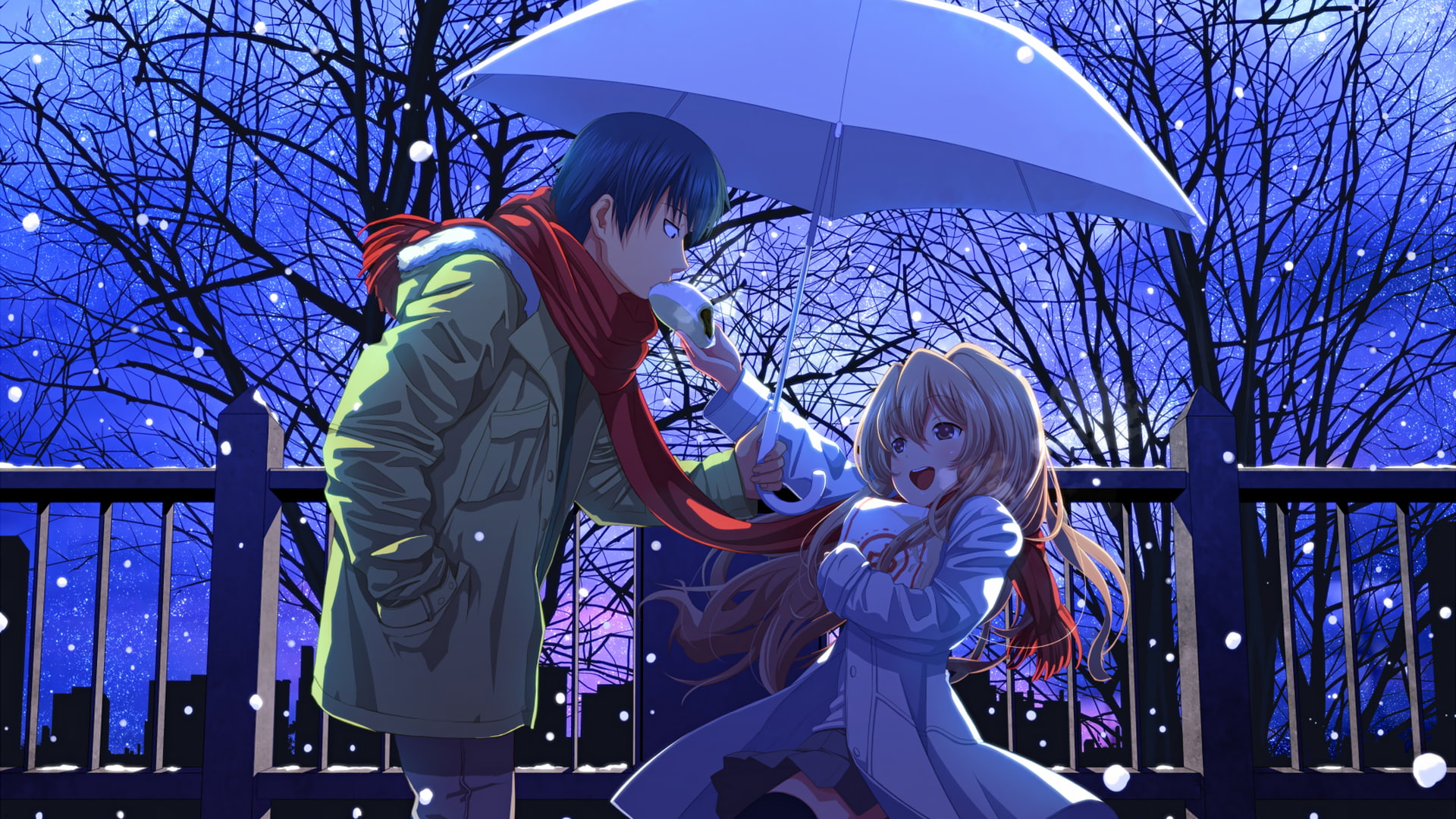 Toradora!, anime, Ryuuji Takasu, Aisaka Taiga, umbrella, snow