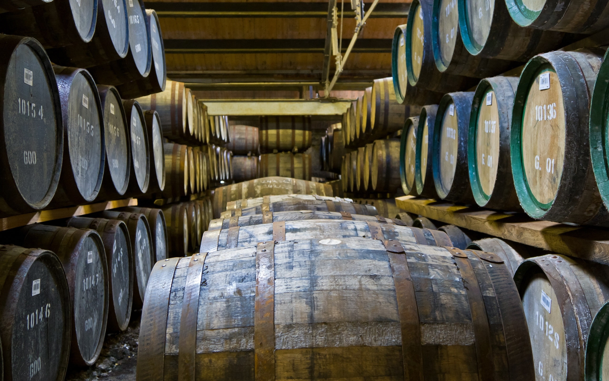 Winery, wood barrels