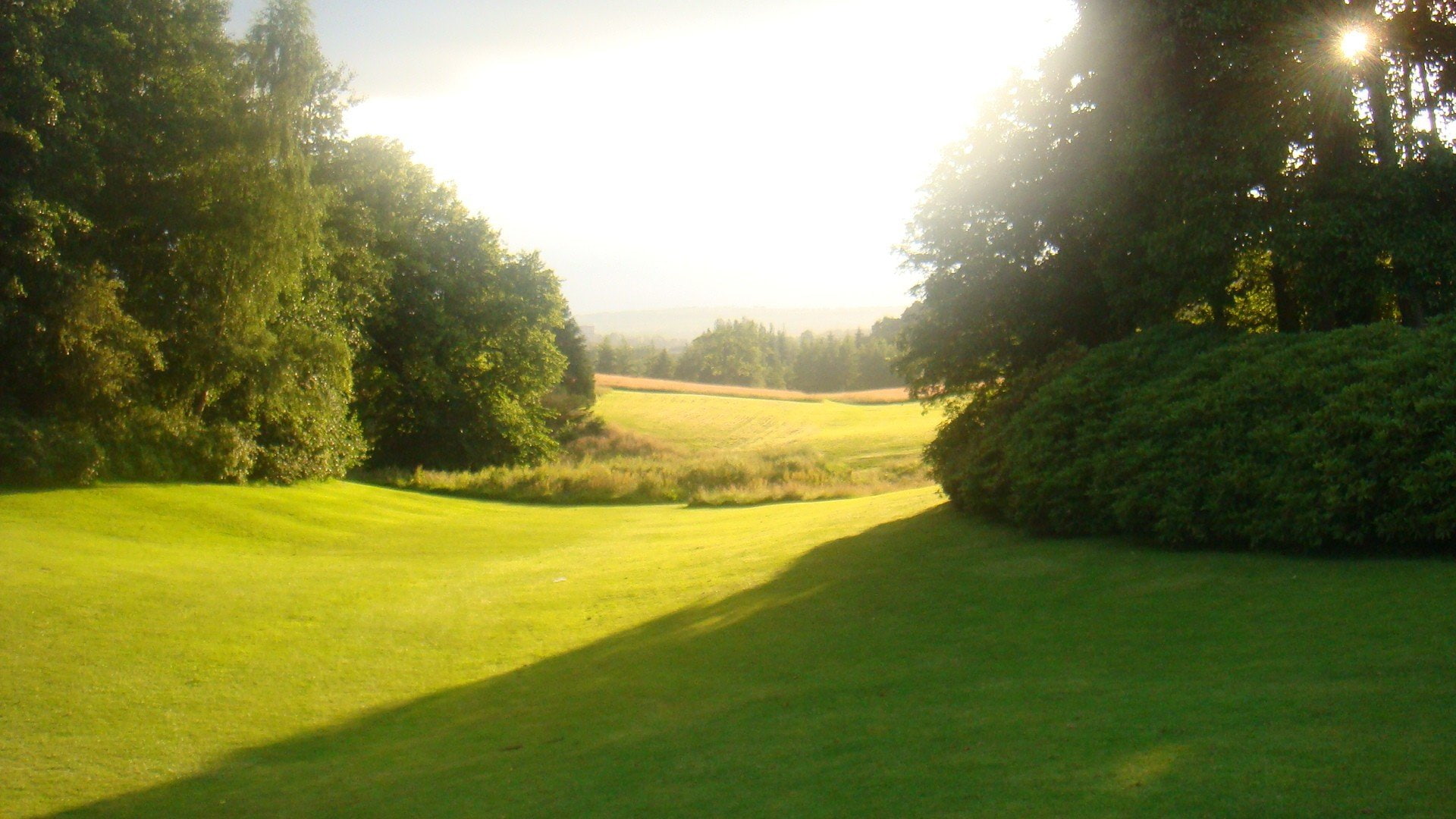 belfast, fields, grass