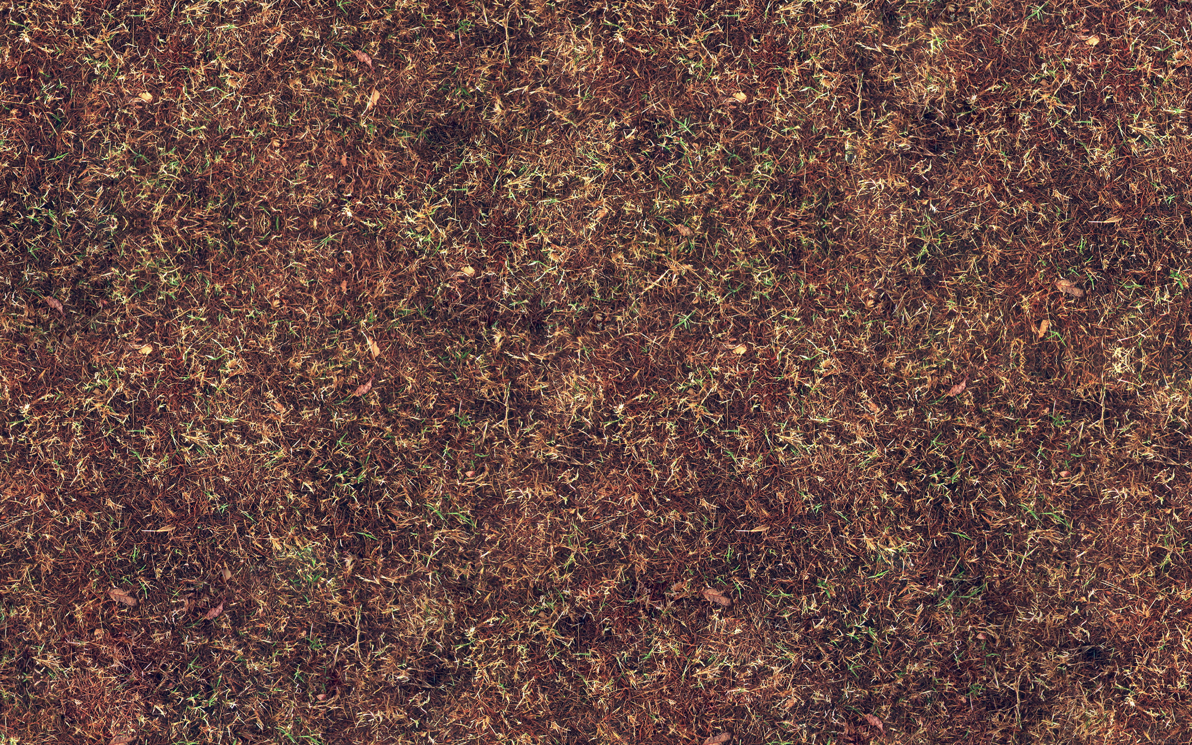 grass, texture, pattern, backgrounds, full frame, textured