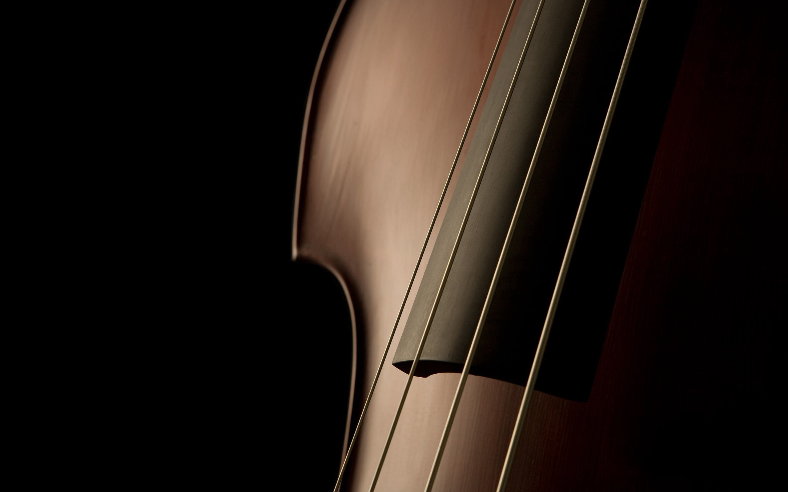 brown violin, shape, strings, elegant, refined, musical Instrument