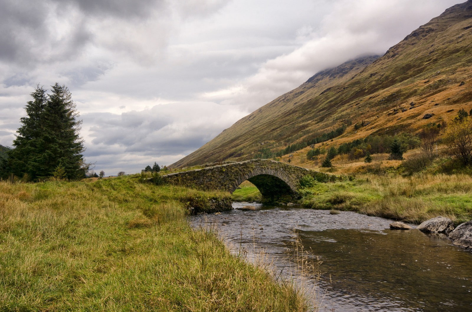 bridge, landscape