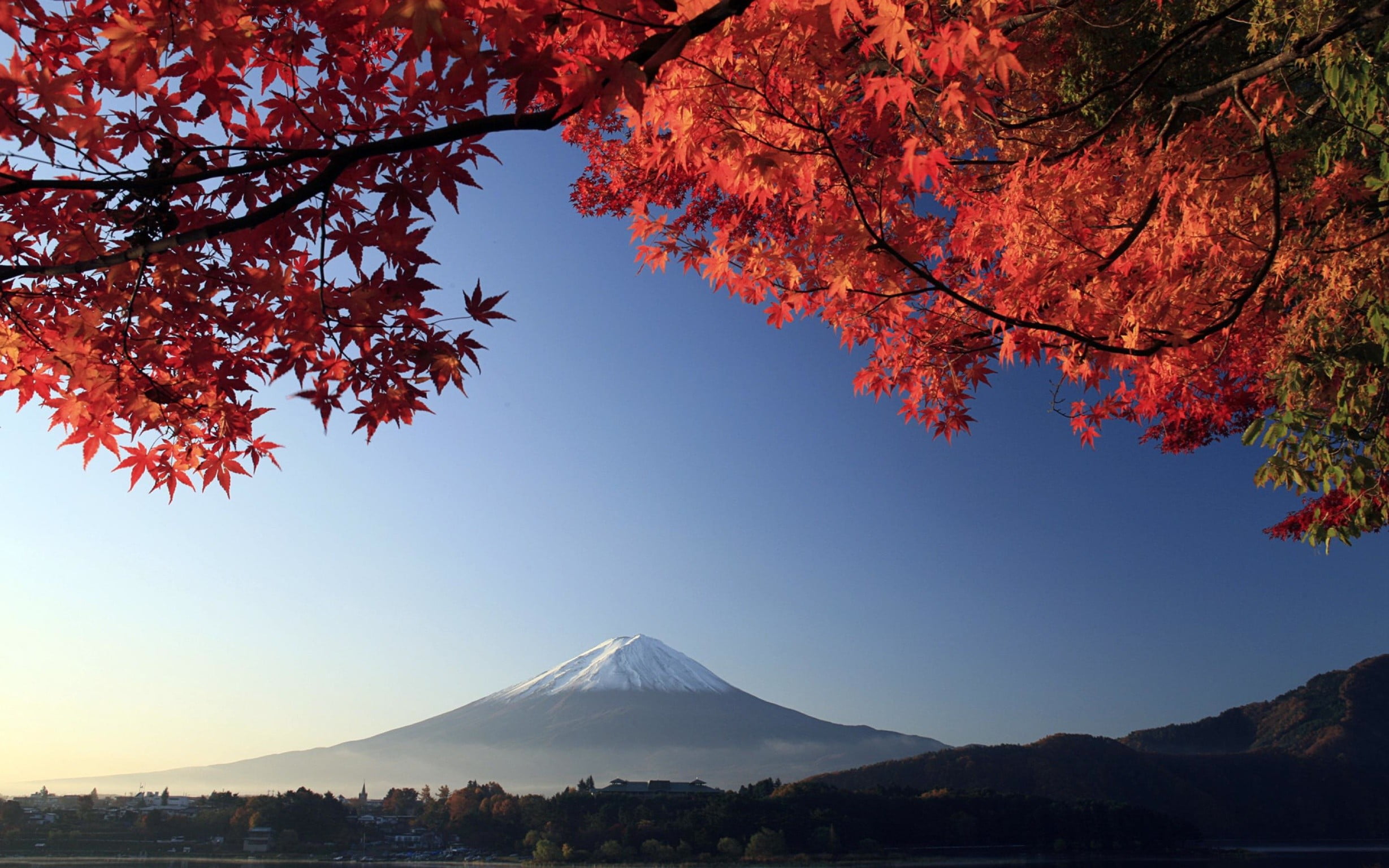 Mount Fuji, Mount Fuji, Japan, fall, leaves, mountains, volcano