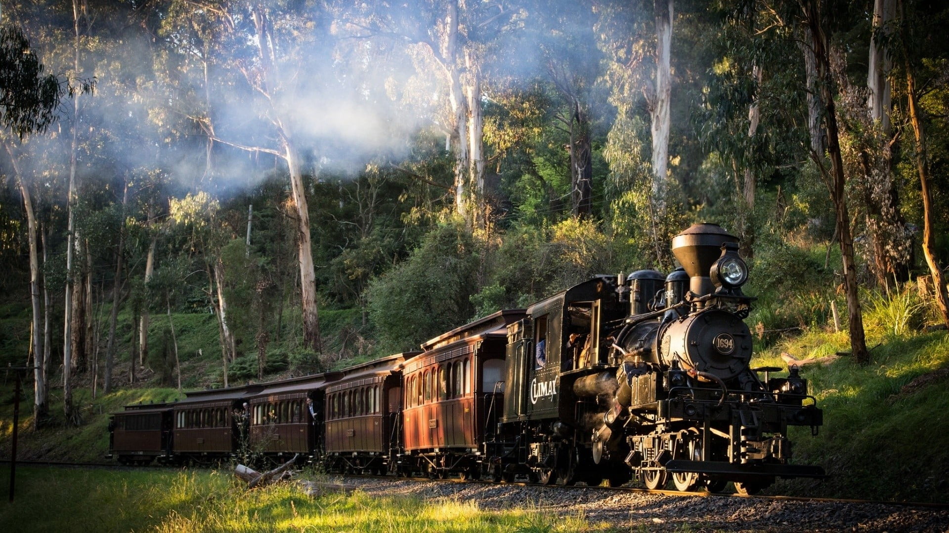 brown steam train, landscape, railway, nature, steam locomotive