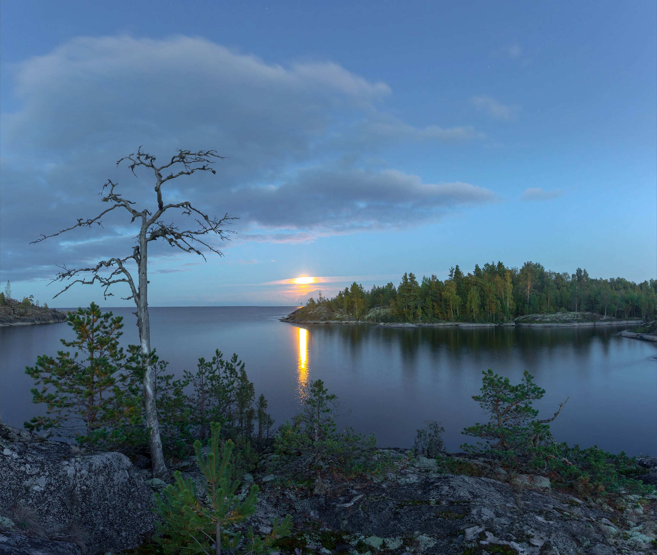 trees, lake, Russia, Lake Ladoga, Karelia, white night