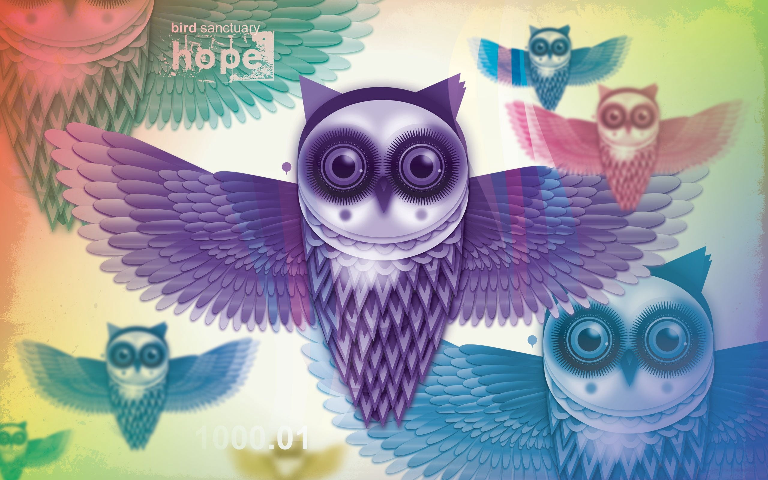 purple owl poster, owls, birds, feathers, light, animal, illustration