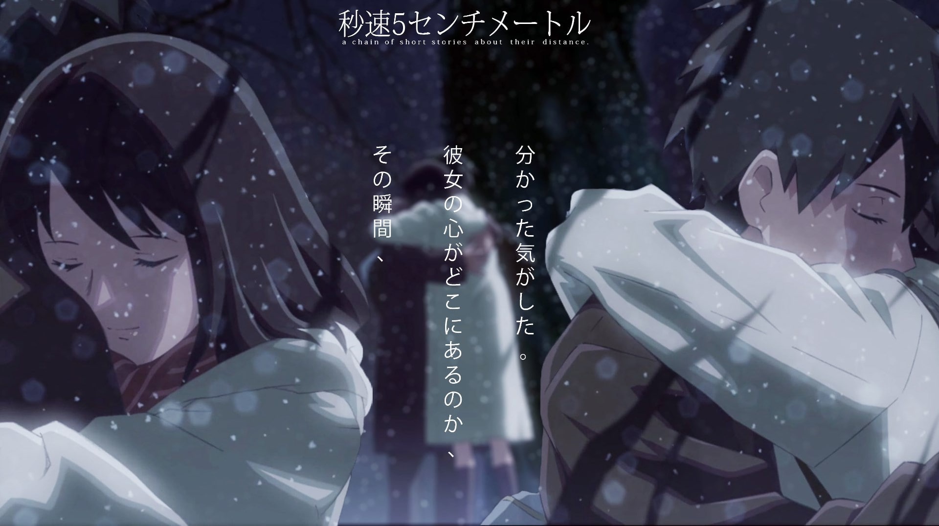 5 centimeters per second