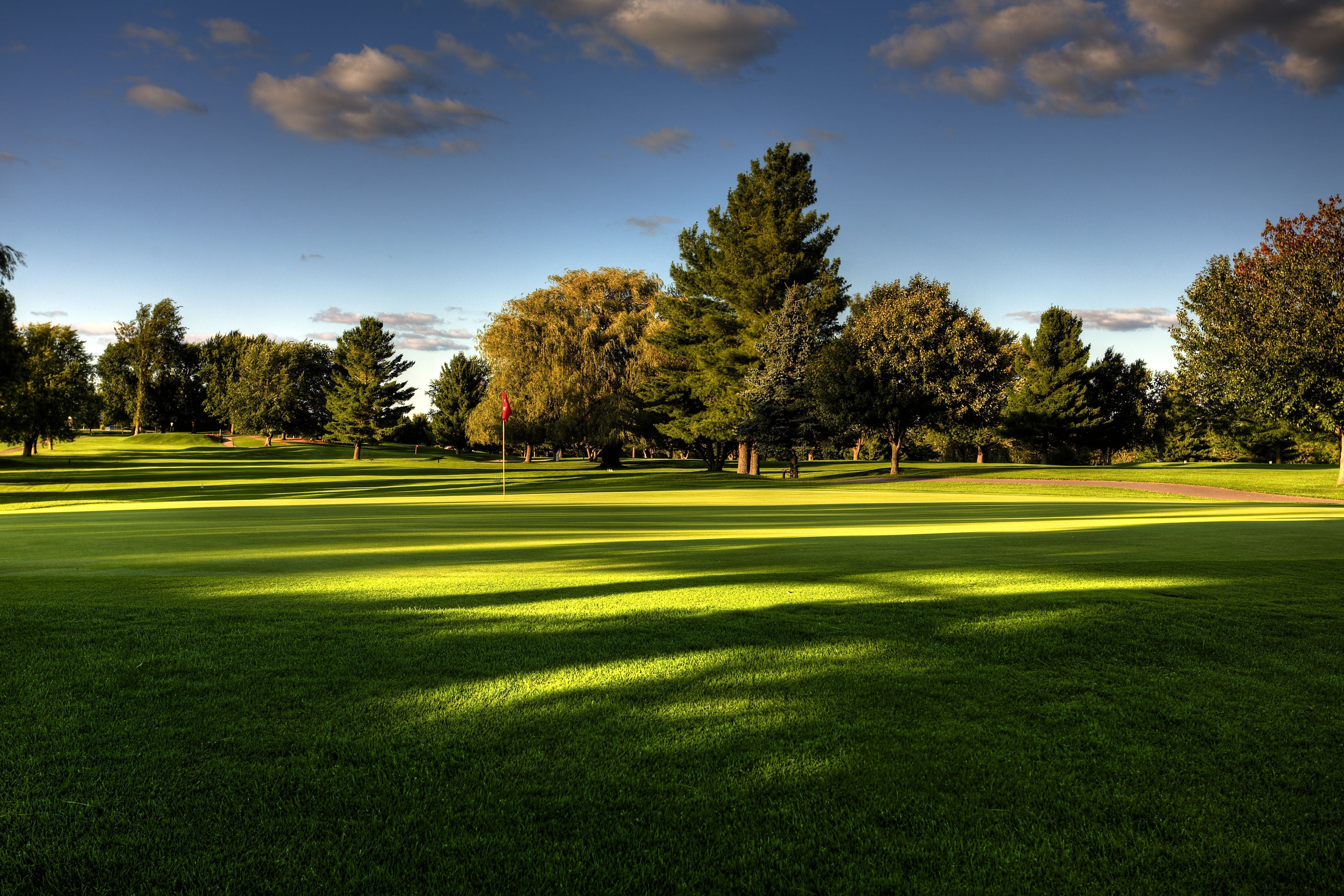 green trees, lawn, field, golf, golf Course, sport, grass, outdoors