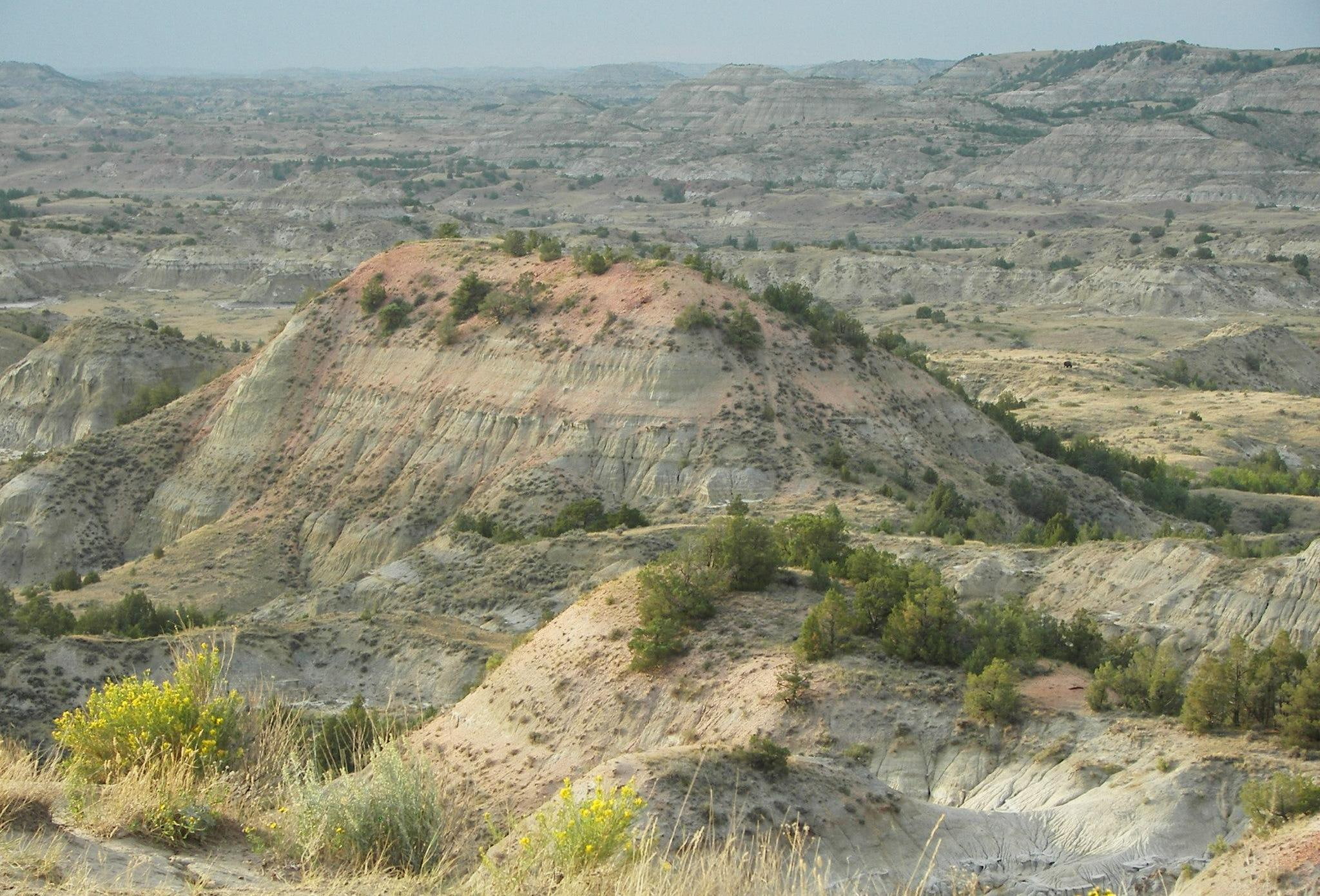 Painted Canyon, Theodore Roosevelt National Park, green grass