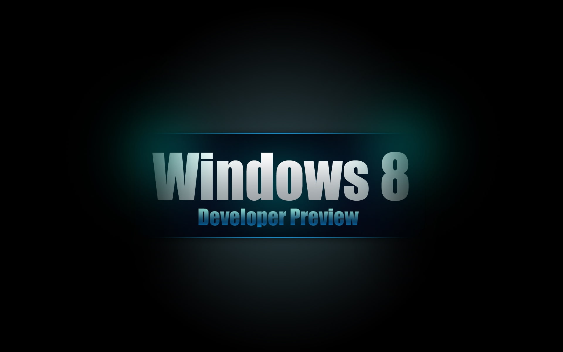 Windows 8 Developer