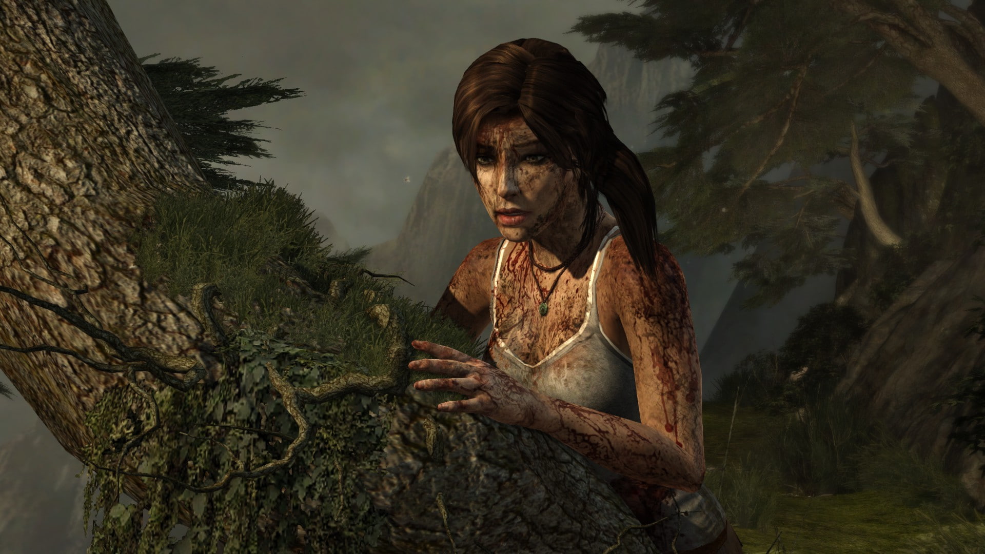 video games, Lara Croft, Tomb Raider, tomb raider 2013, tree