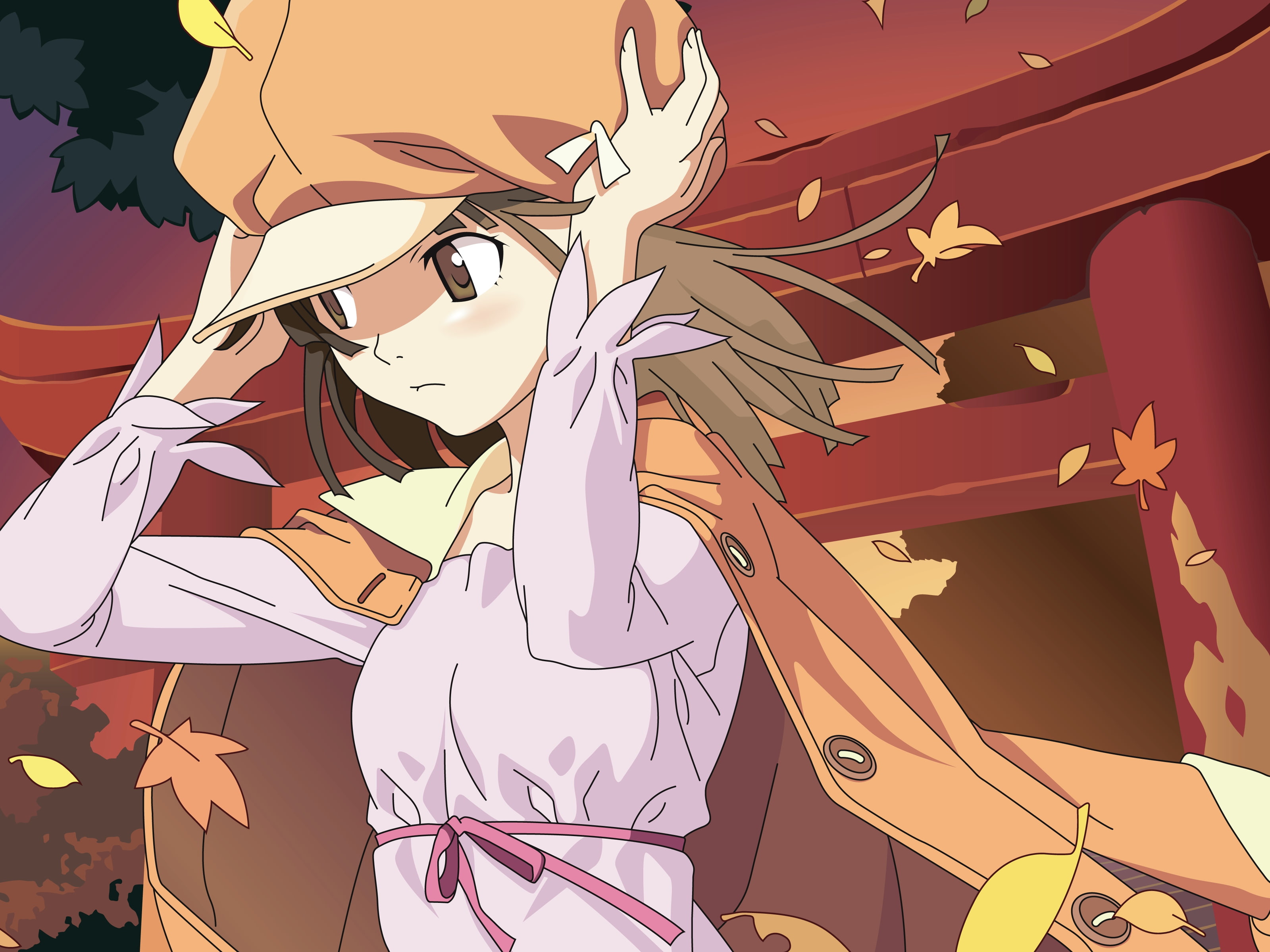 bakemonogatari