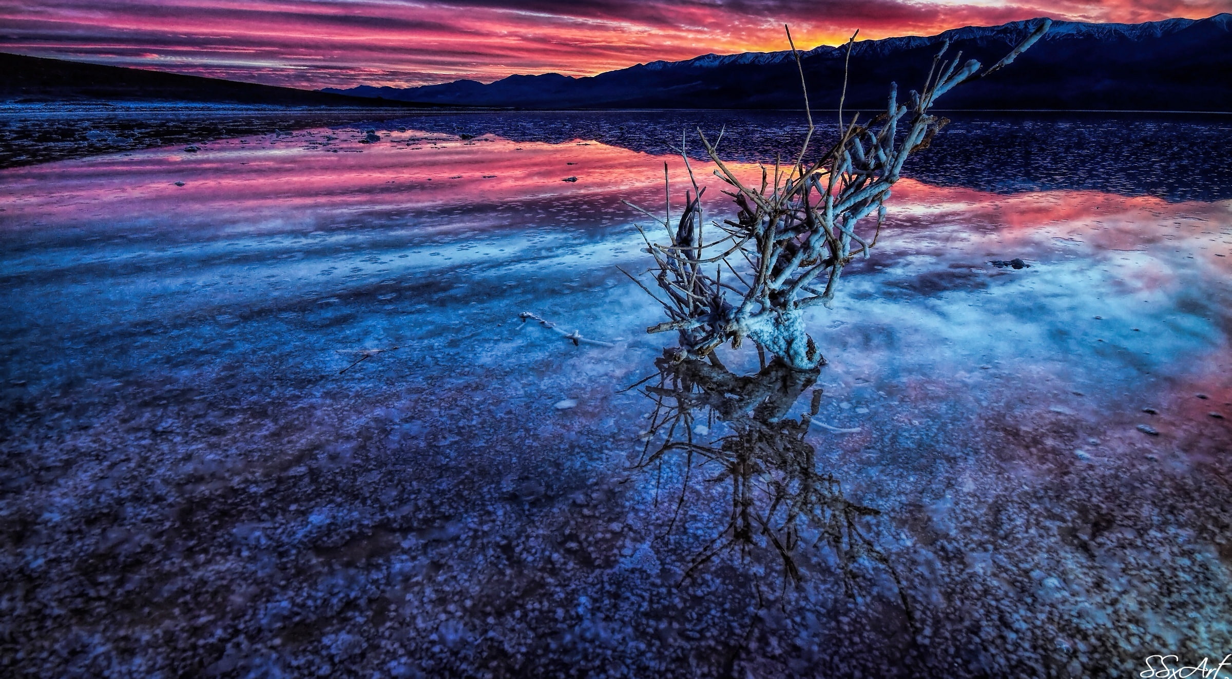 Death Valley, brown tree branch, Nature, Lakes, hd, widescreen