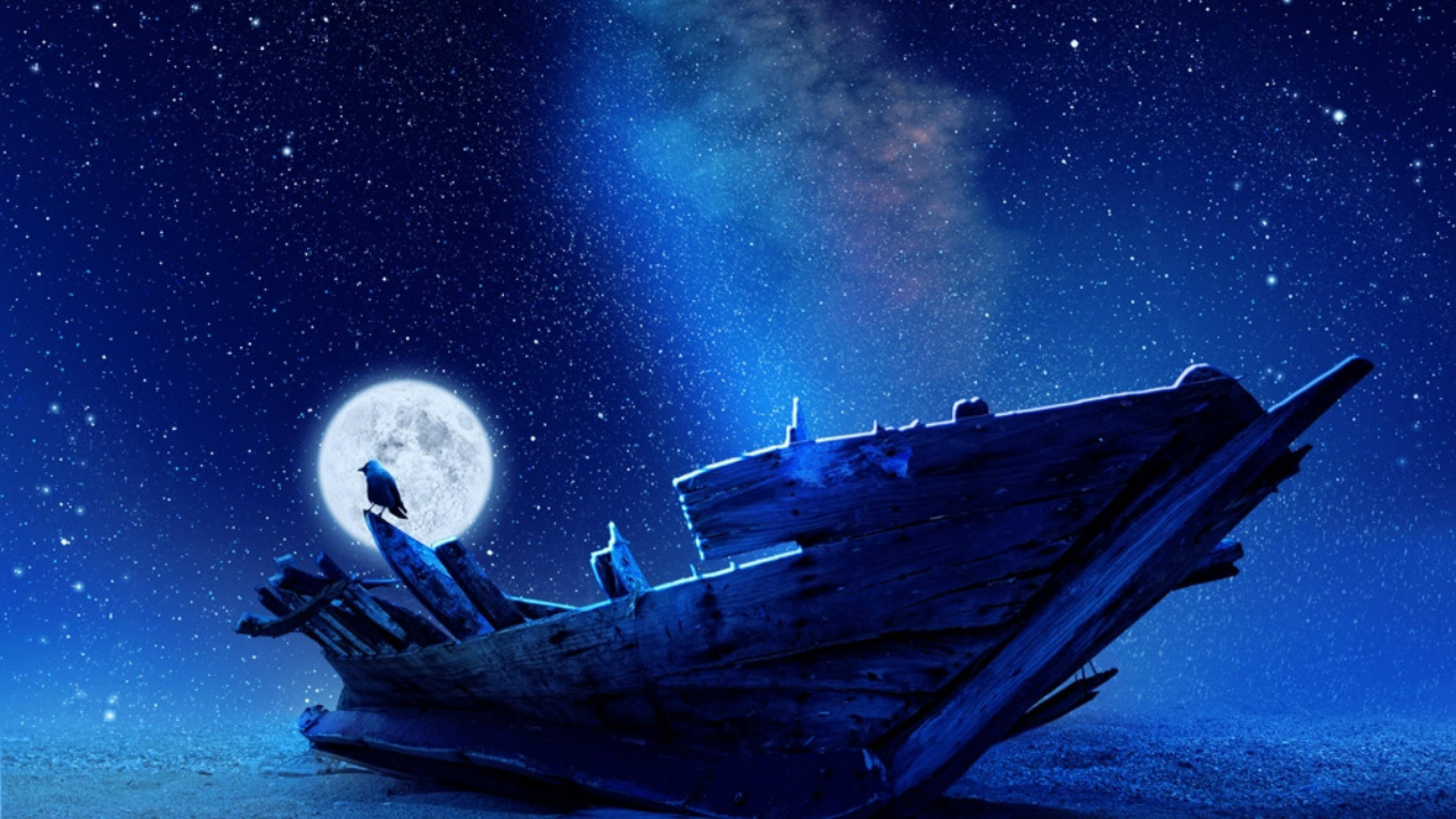 full moon, stars, night, old ship, sea, bird