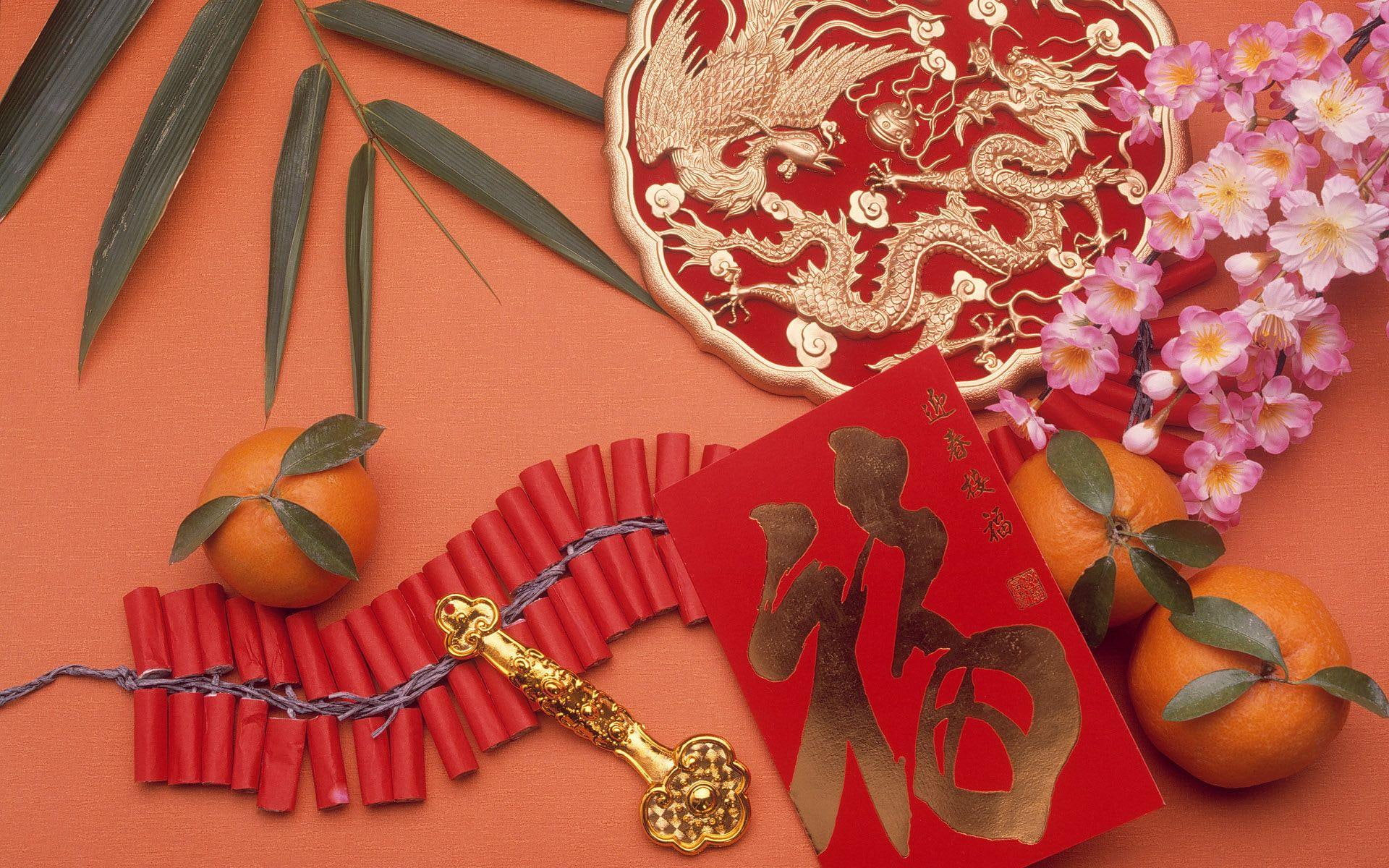 Happy Chinese New Year!, flower, dragon, leaf, fireworks, orange