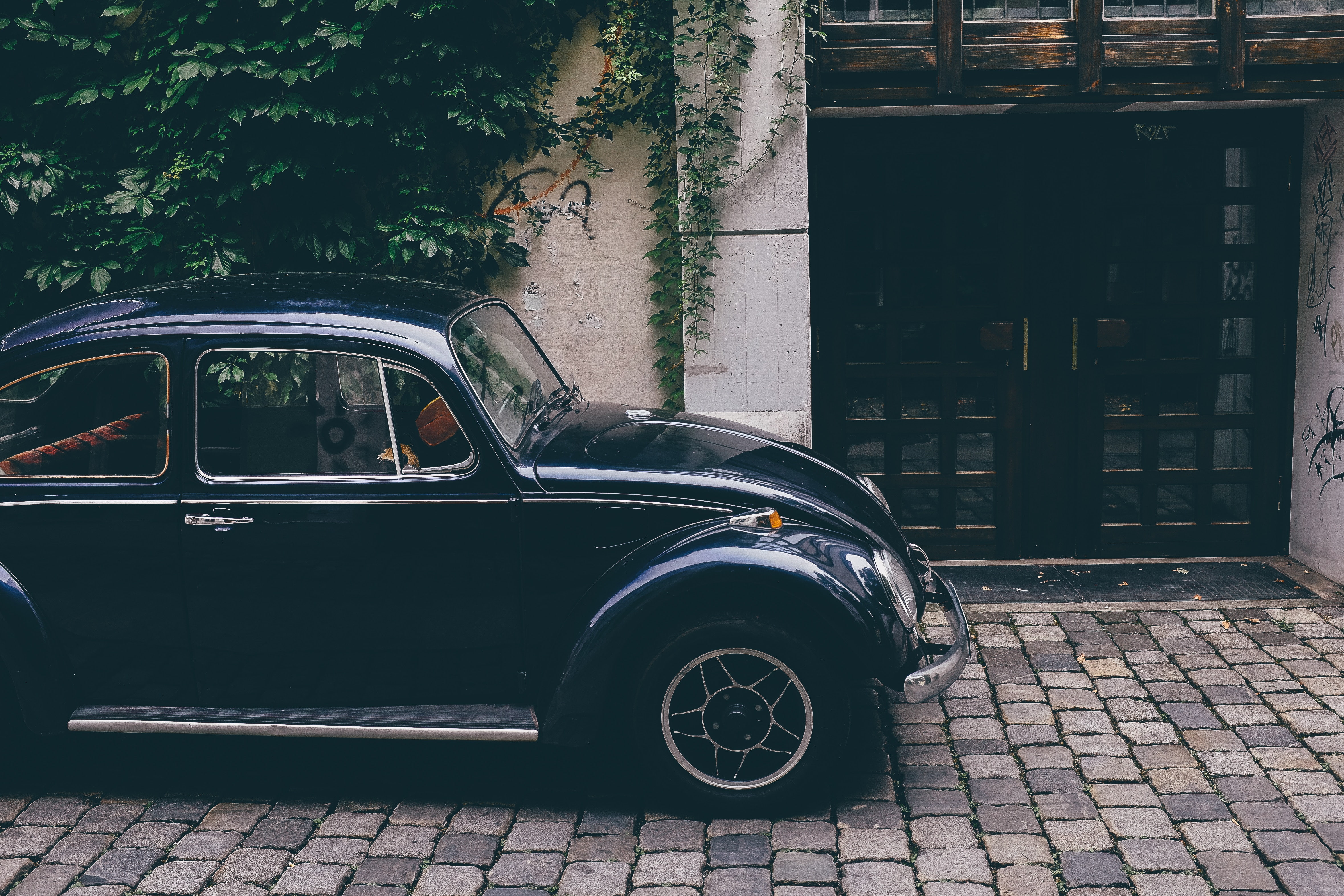 car, black, Volkswagen, Germany, Volkswagen Beetle