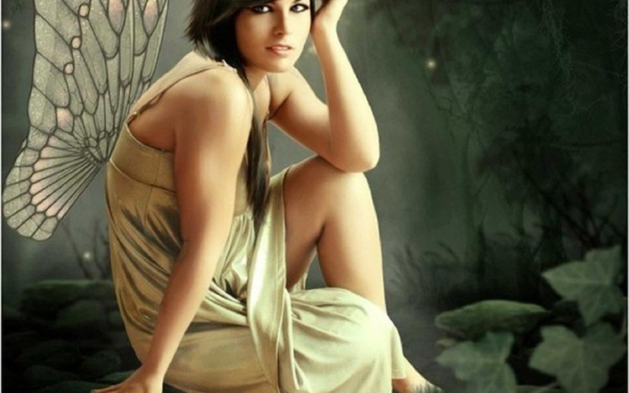 fairy