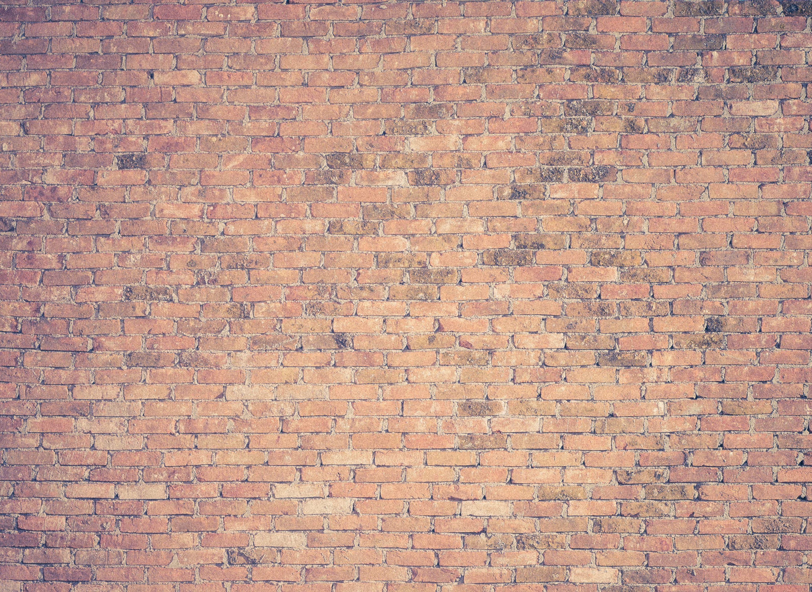 brown brick wall, texture, surface, backgrounds, pattern, wall - Building Feature