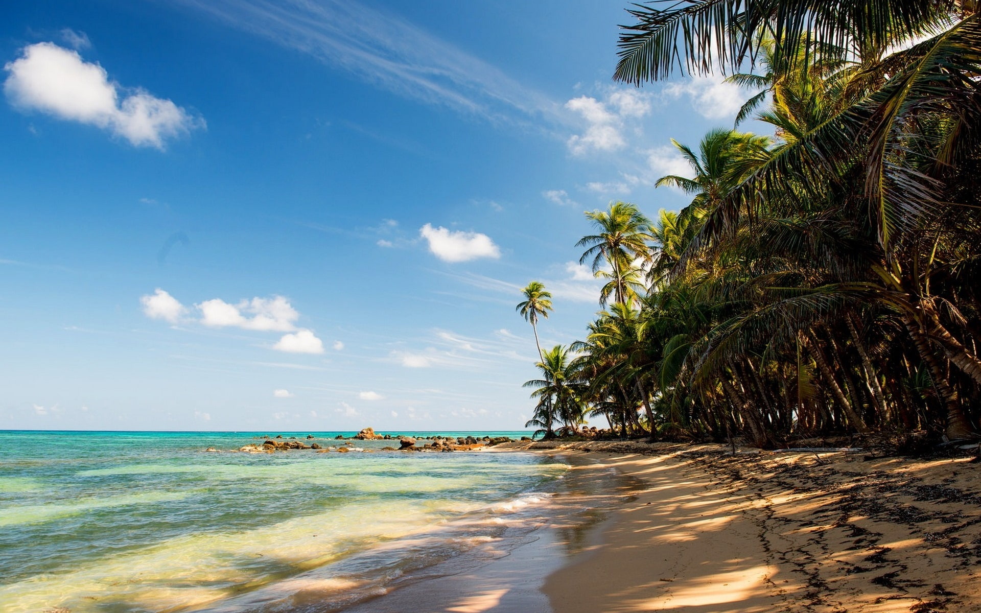 Tropical, beach, sand, palm trees, rocks, sea