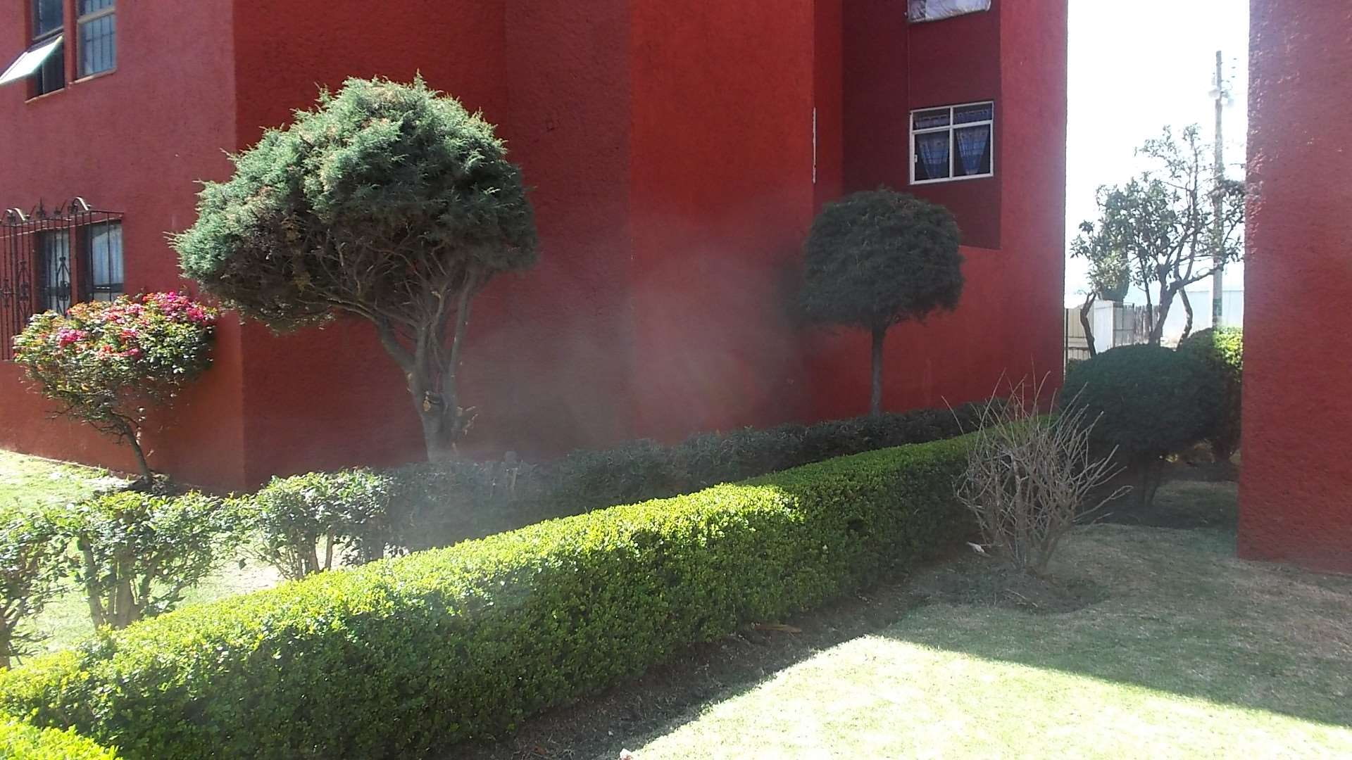 edificio, luz, plant, architecture, built structure, building exterior
