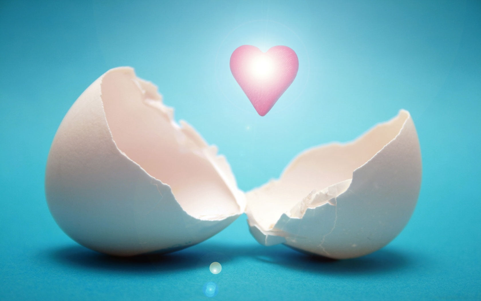 white egg shell, heart, light, studio shot, colored background