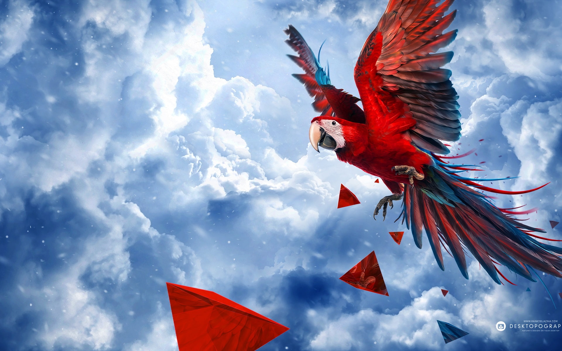 Parrot Blue Sky HD, painting of flying parrot, creative, graphics