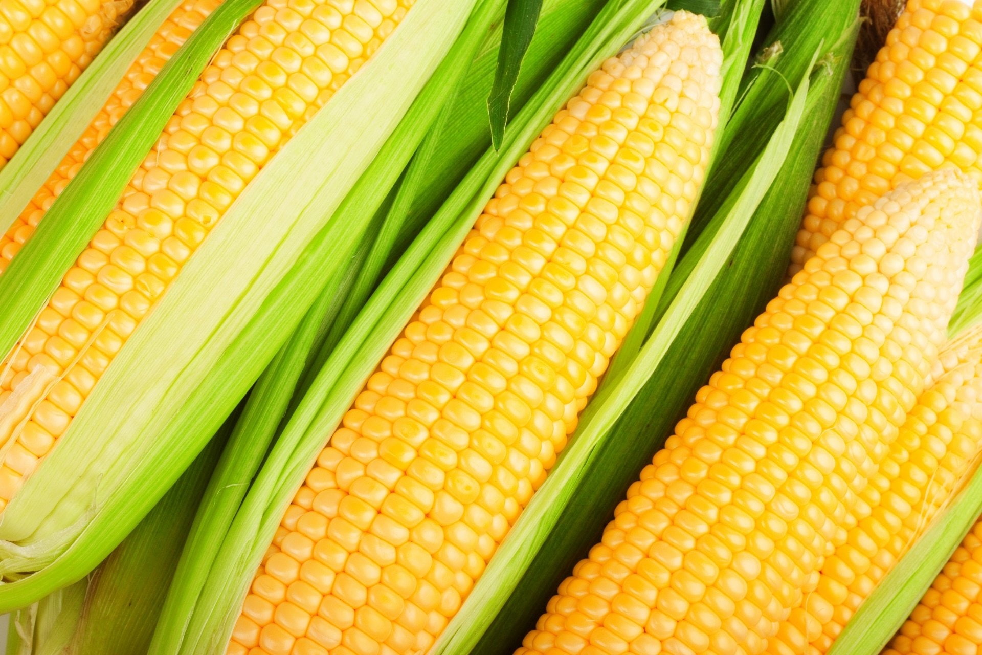 Food, Corn