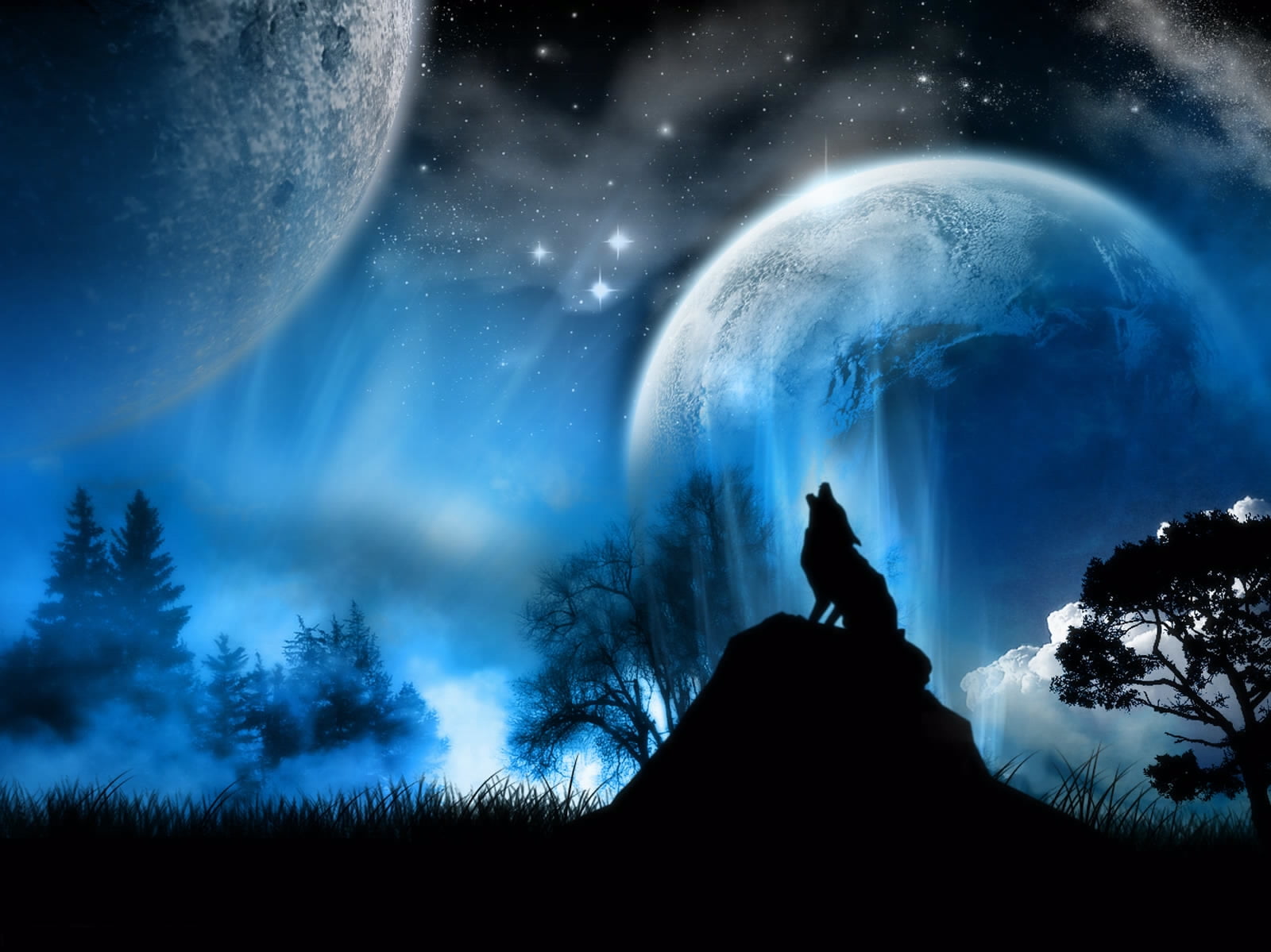howling wolf under moon wallpaper, moonlight, fantasy, nature