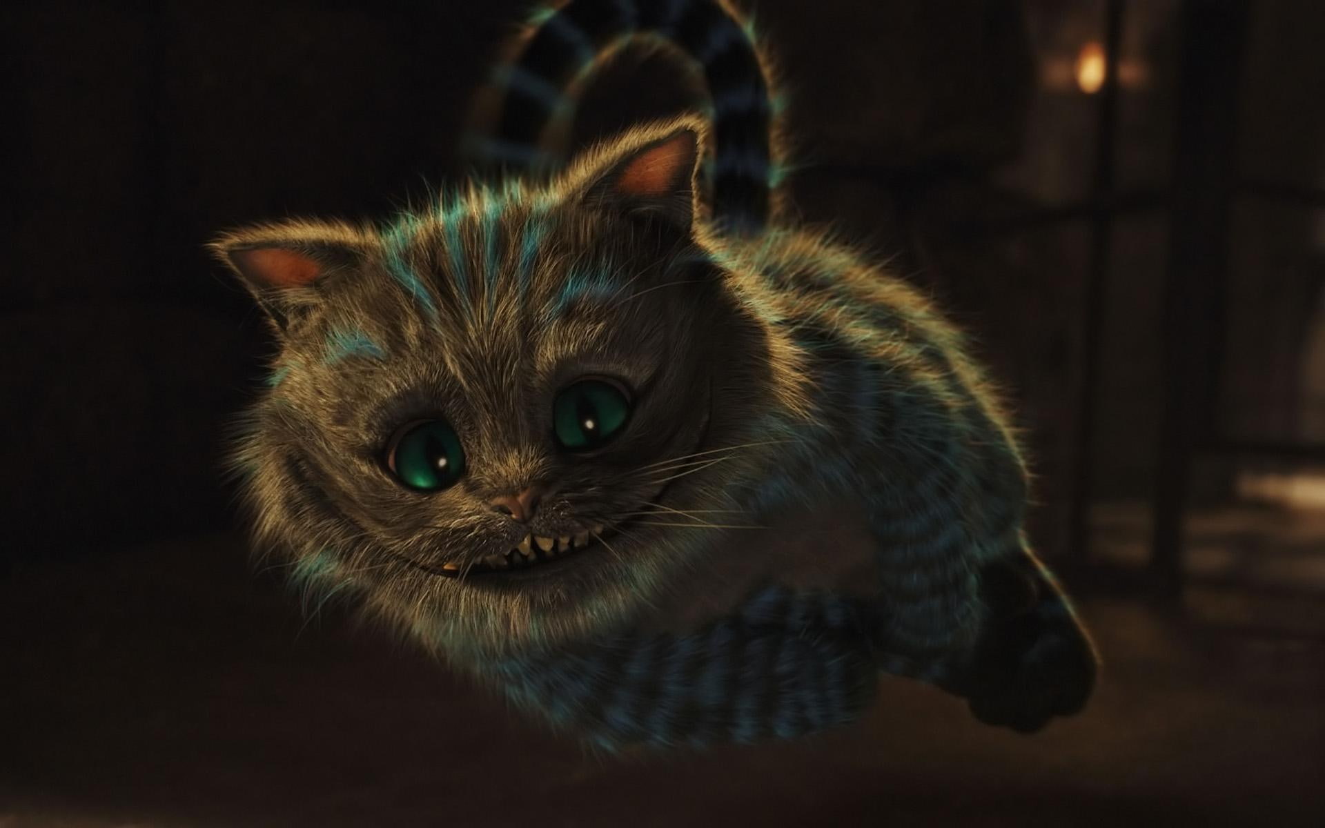 Cheshire Cat, alice and wonderland, funny, story, fantast, feline