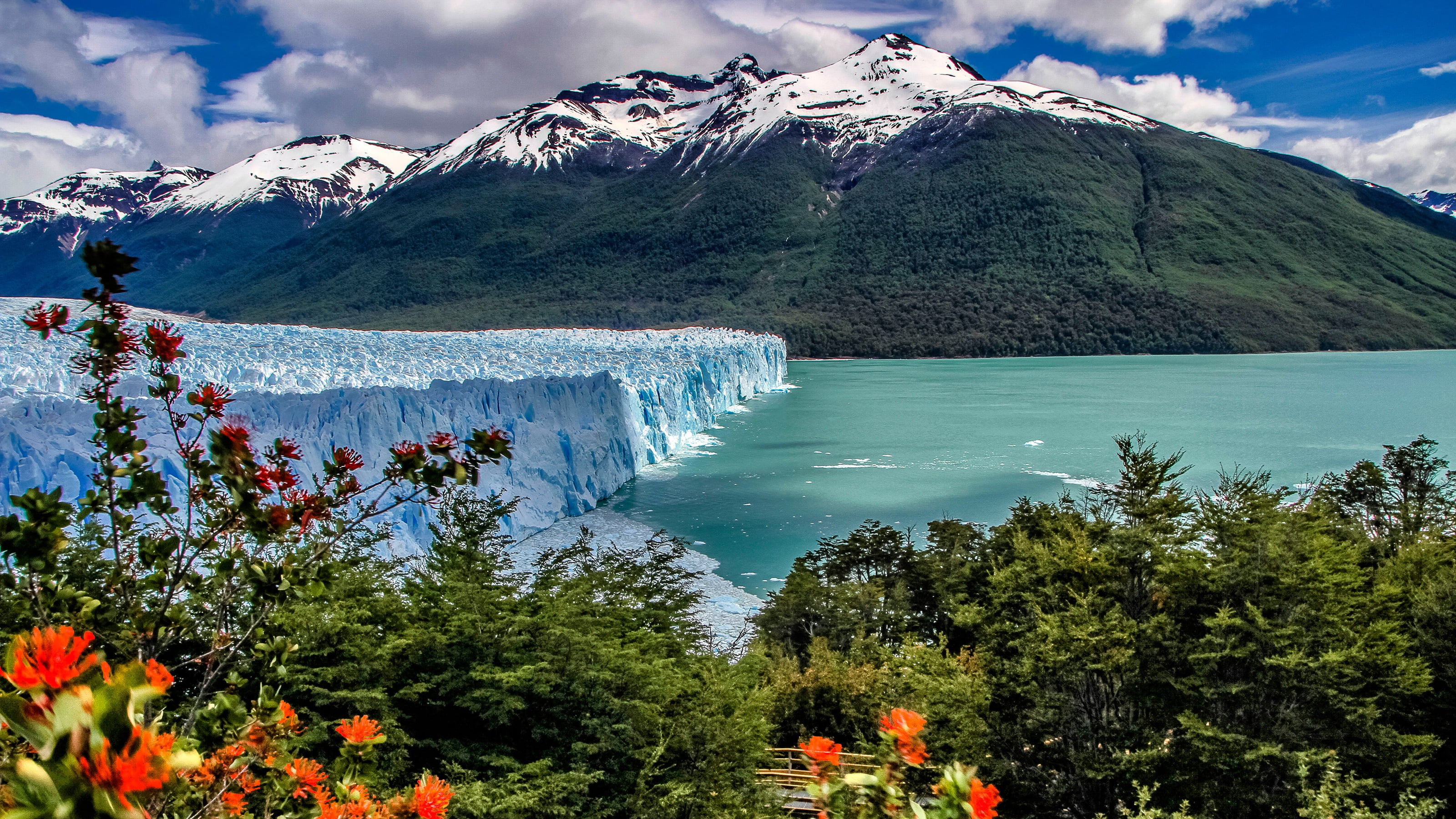mountains, lake, glacier, the bushes, Argentina, Andes, Patagonia