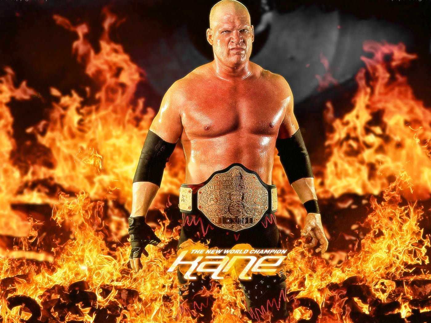 Kane World Champion, WWE Kane, super star, wwe champion, wrestler