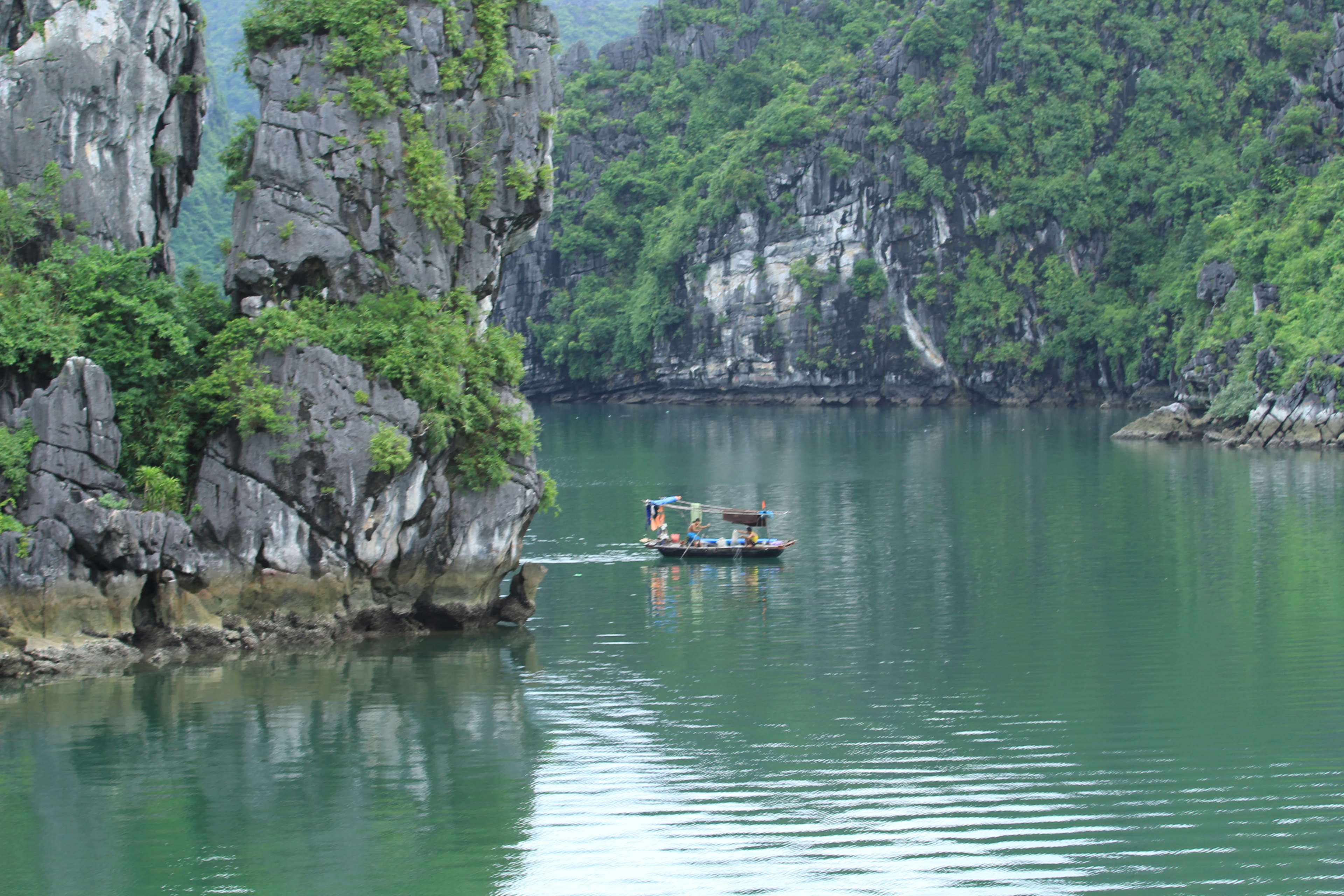 halong bay, vietnam, water, nautical vessel, tree, plant, beauty in nature