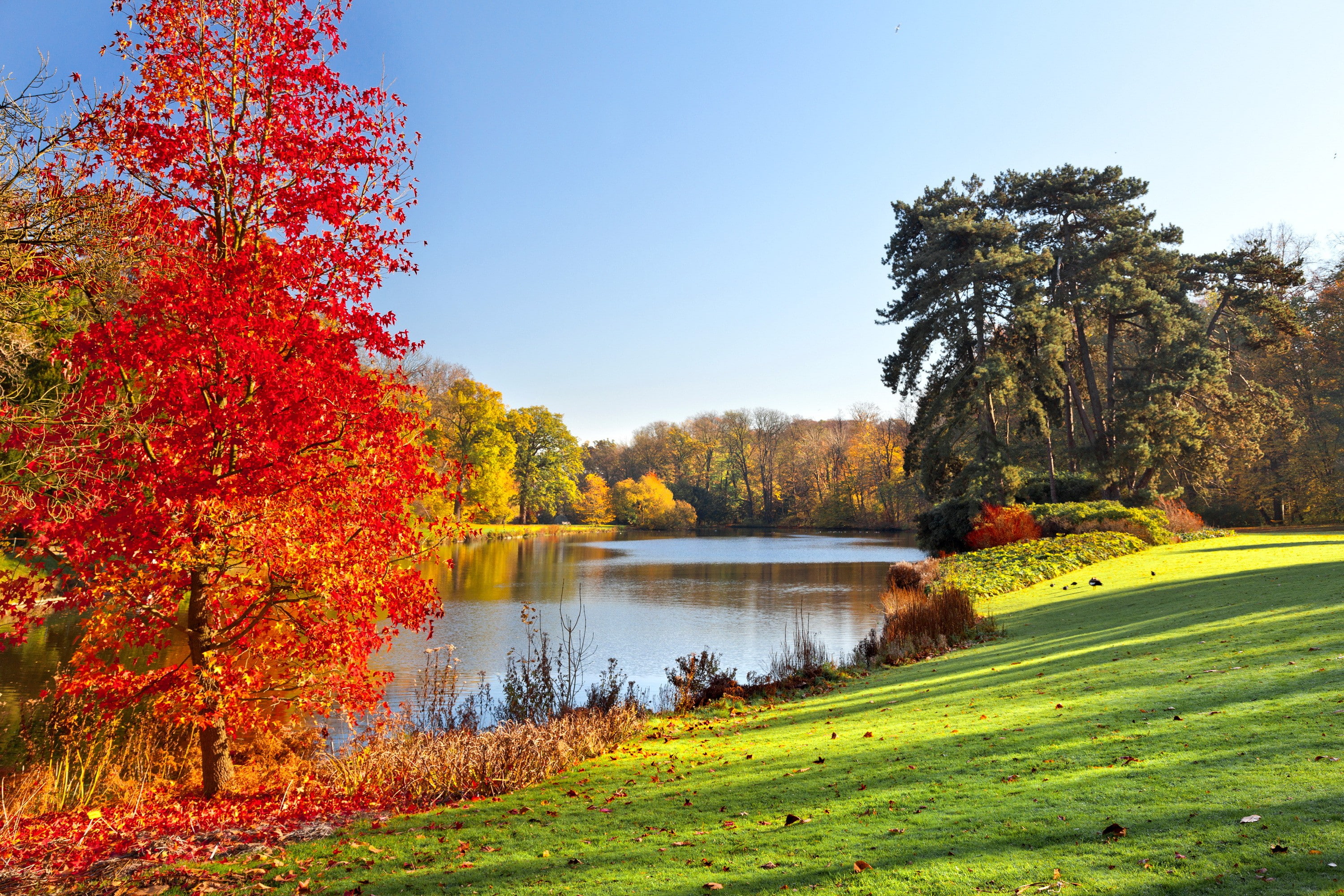 Fall season park, Autumn, landscape, Lake, tree