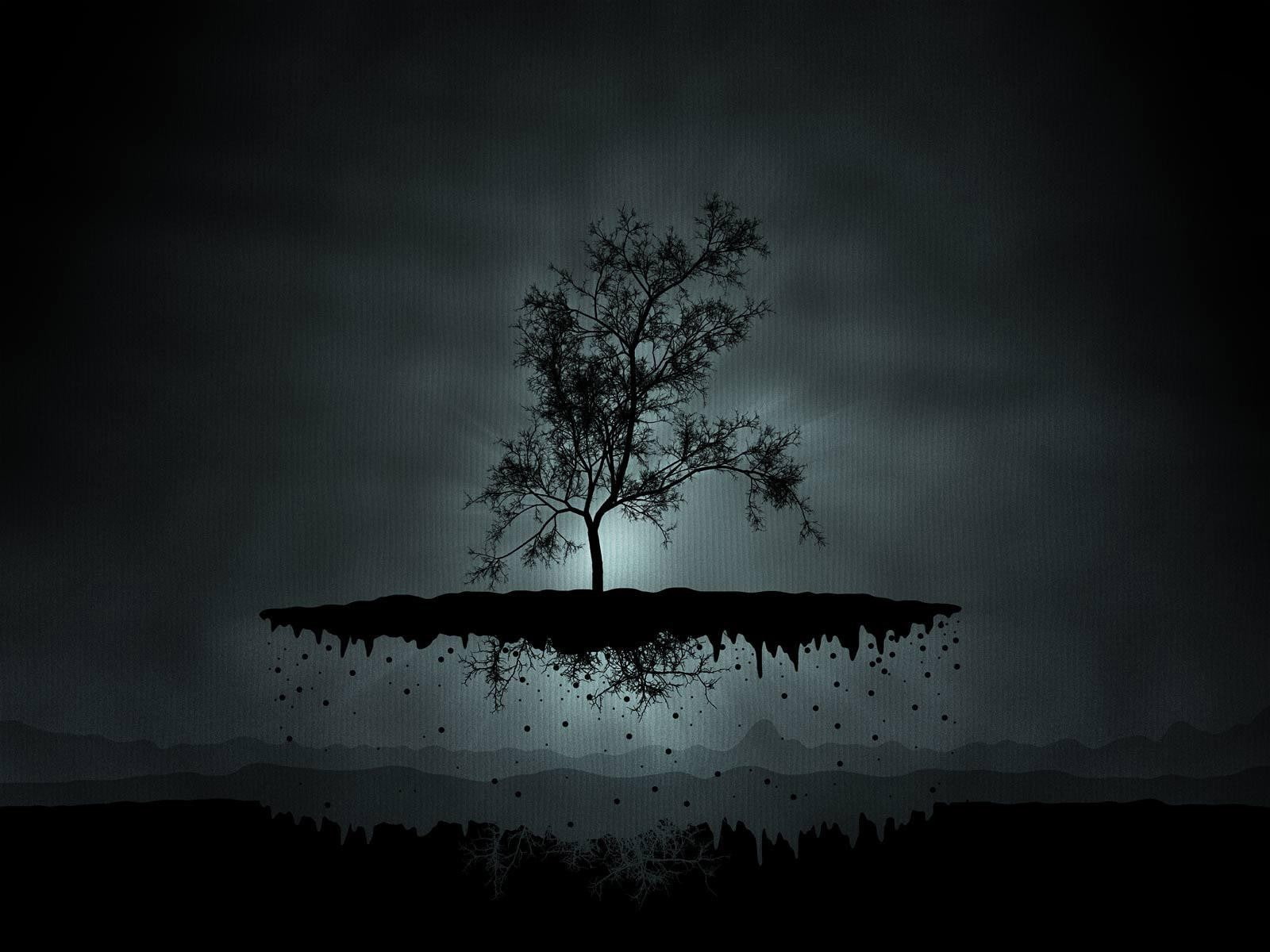 abstract, Trees