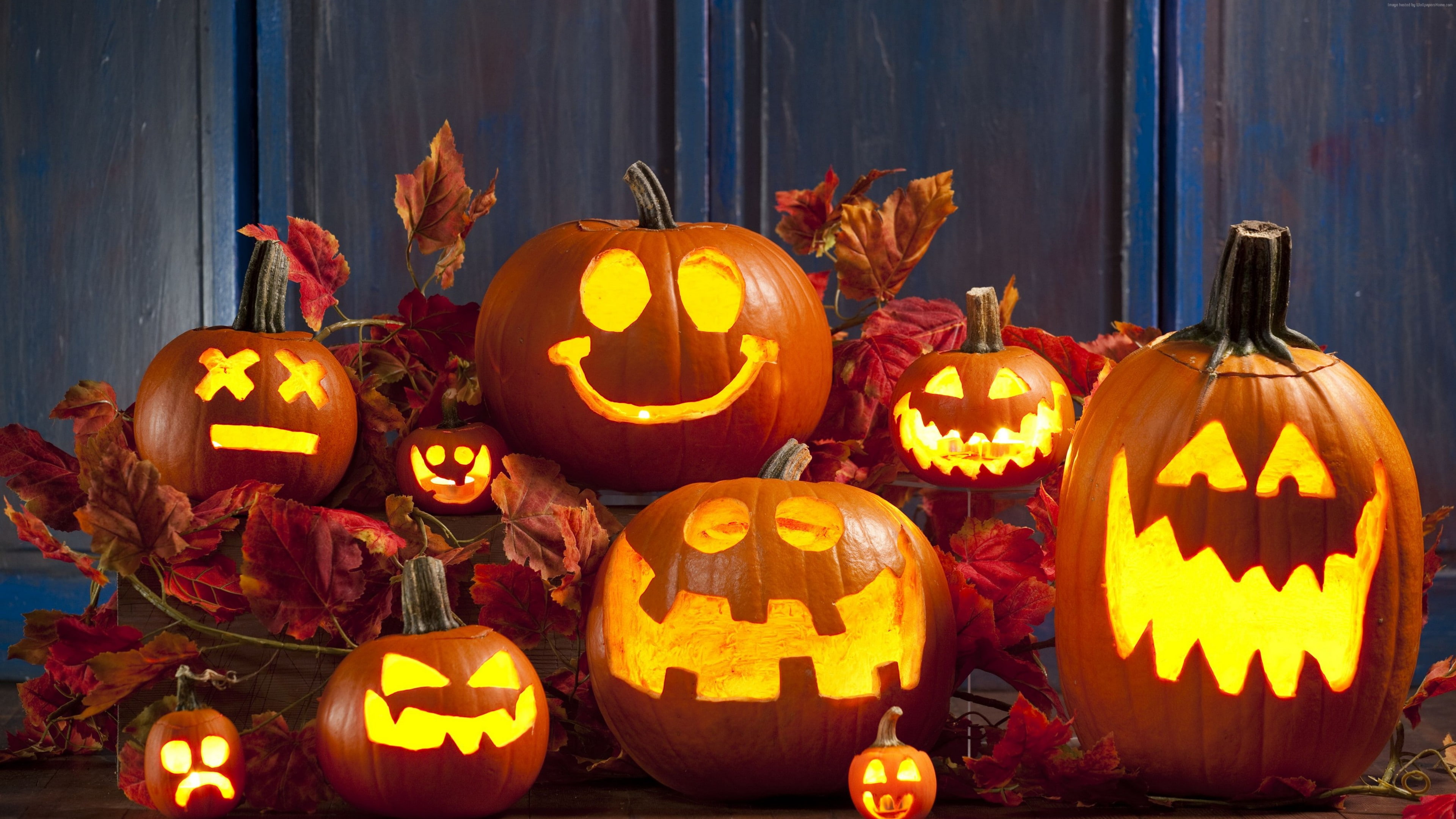 halloween, pumpkin, calabaza, decoration, cucurbita, jack o lantern