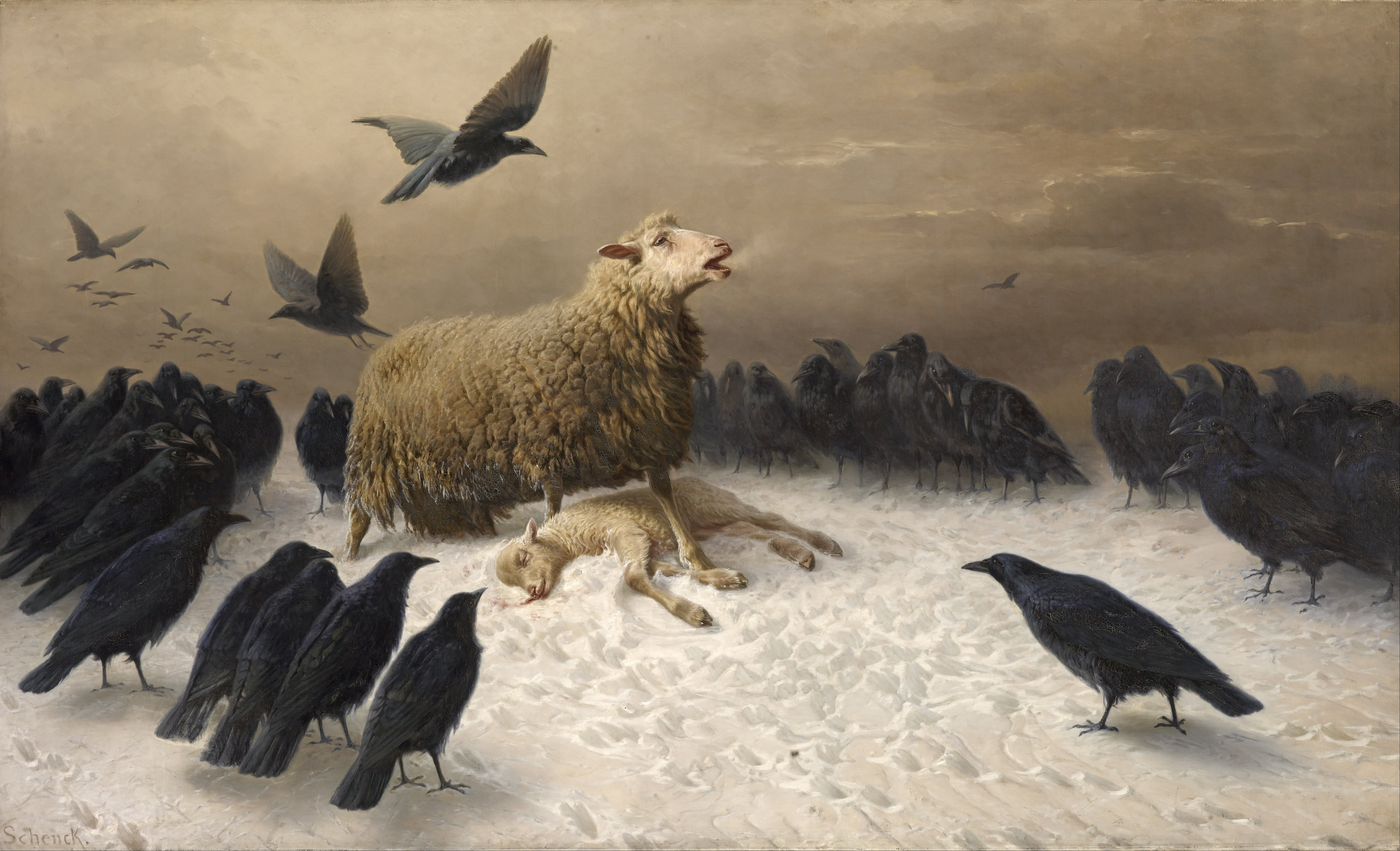 Albrecht Schenck, sheep, birds, classic art, crow, painting